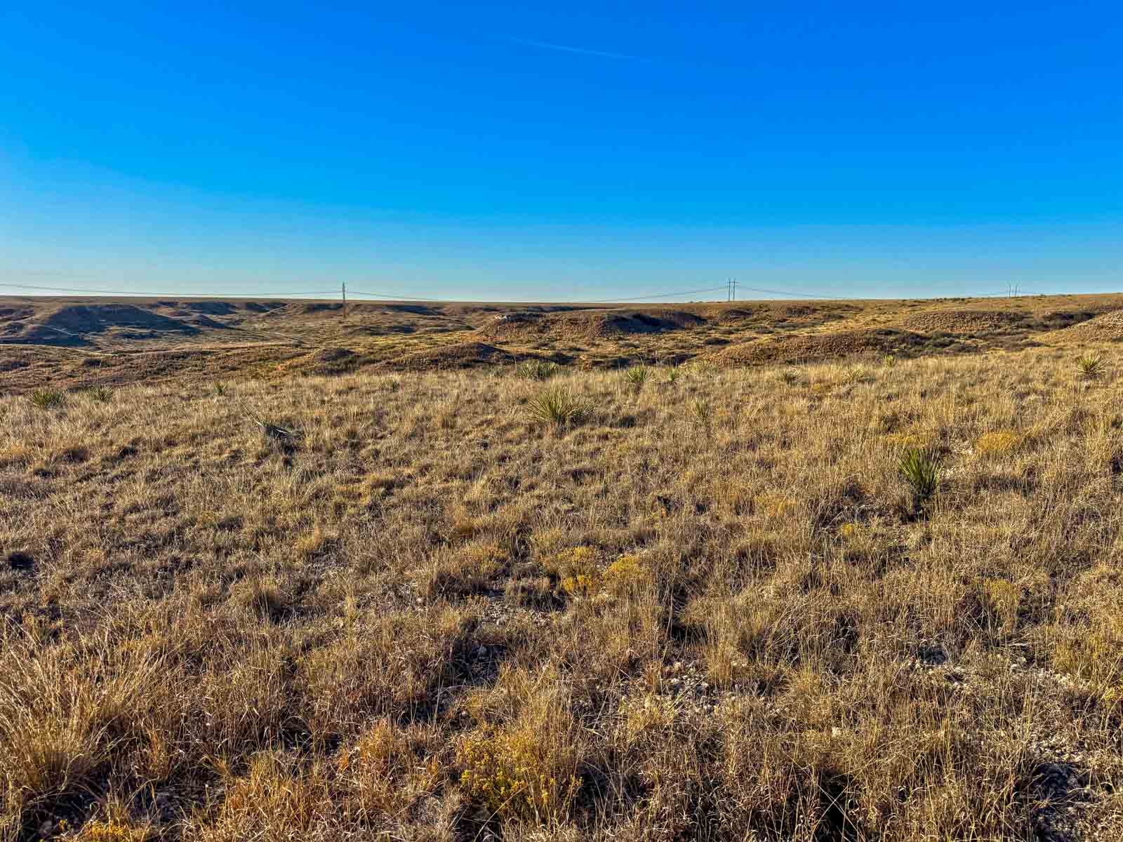 Freeman Family Ranches property picture 24 of 26
