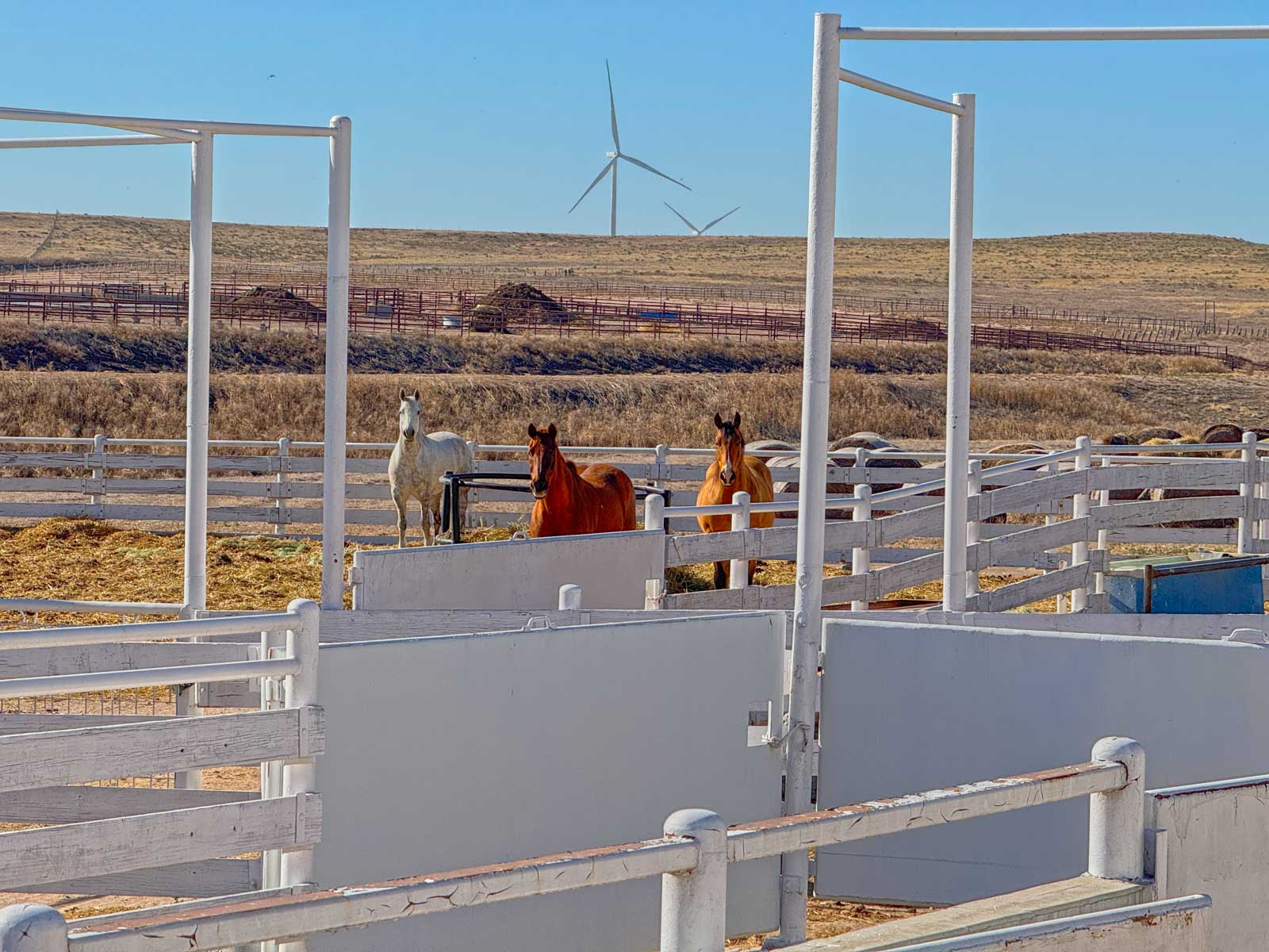 Freeman Family Ranches property picture 6 of 26
