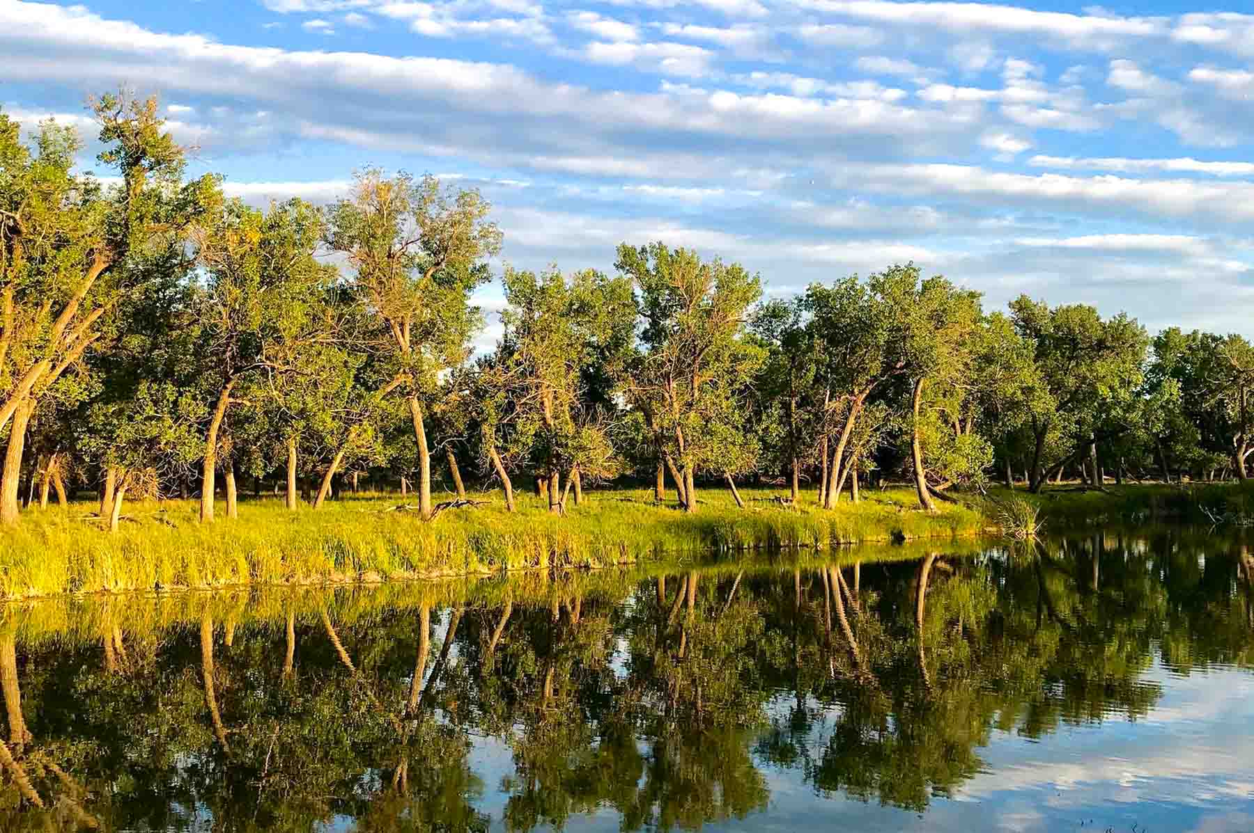 Freeman Family Ranches property picture 23 of 63