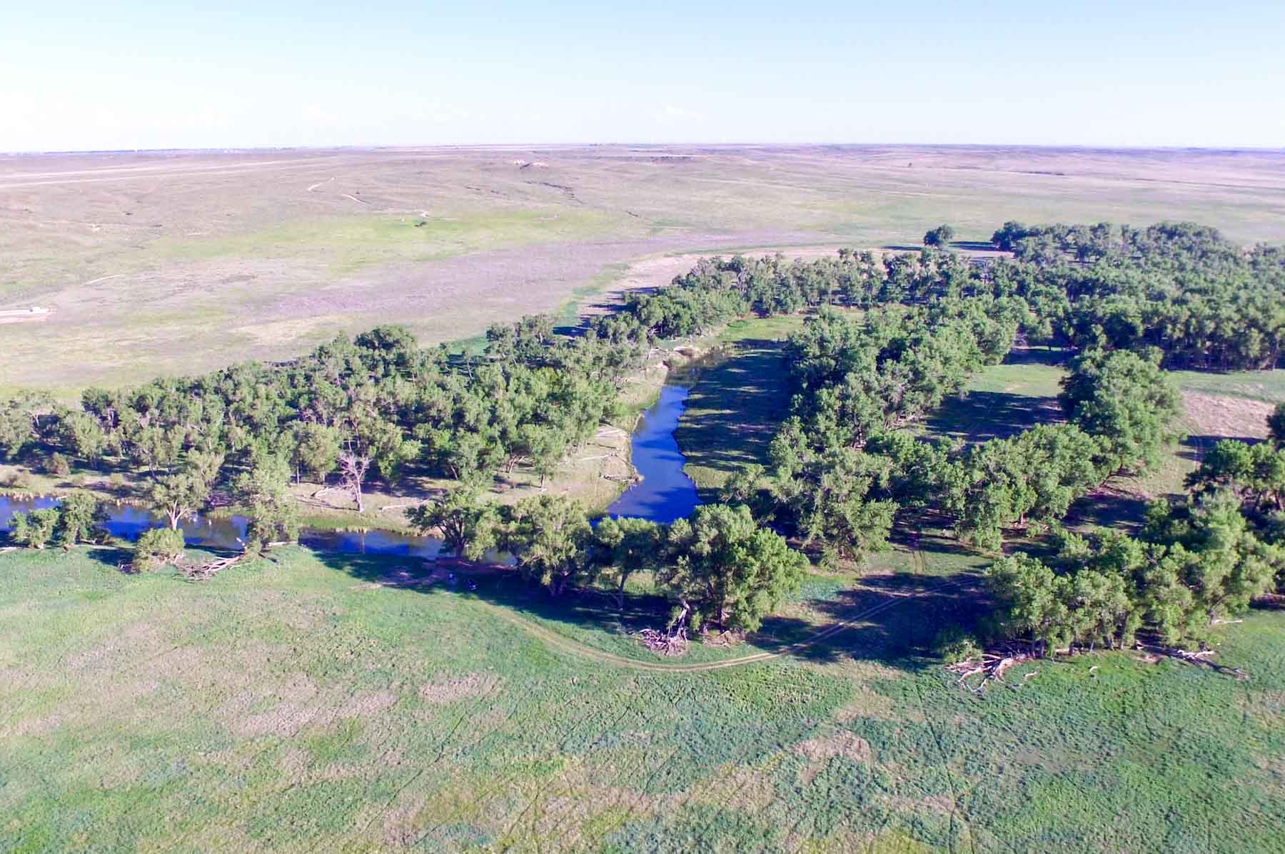 Freeman Family Ranches property picture 46 of 63