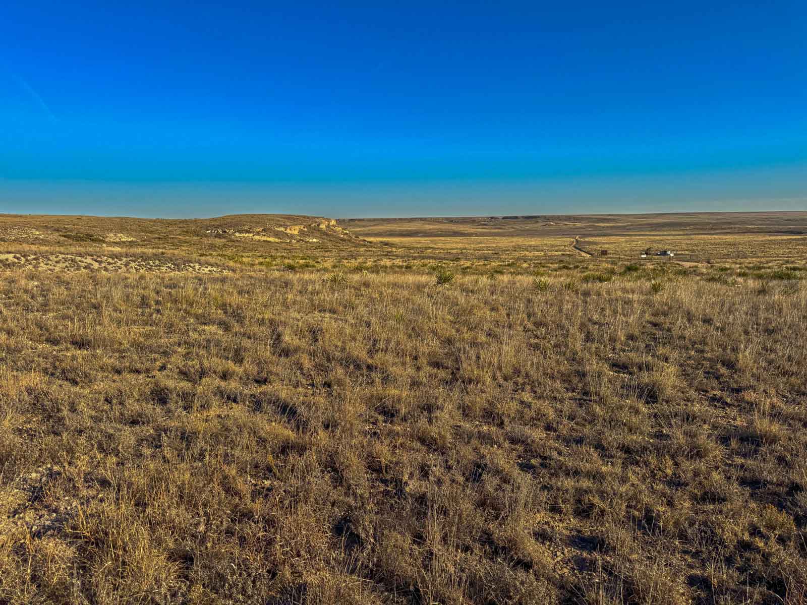 Freeman Family Ranches property picture 25 of 26