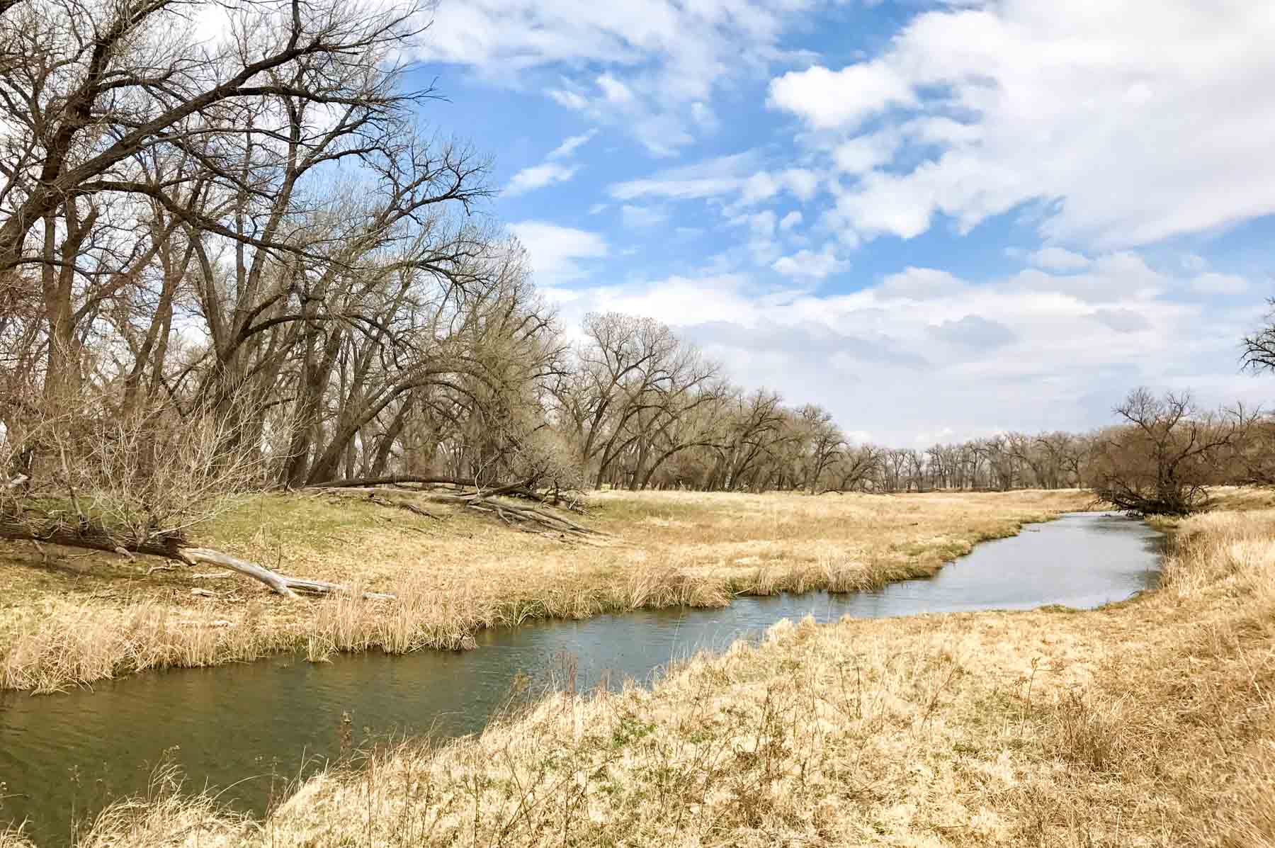 Freeman Family Ranches property picture 35 of 63