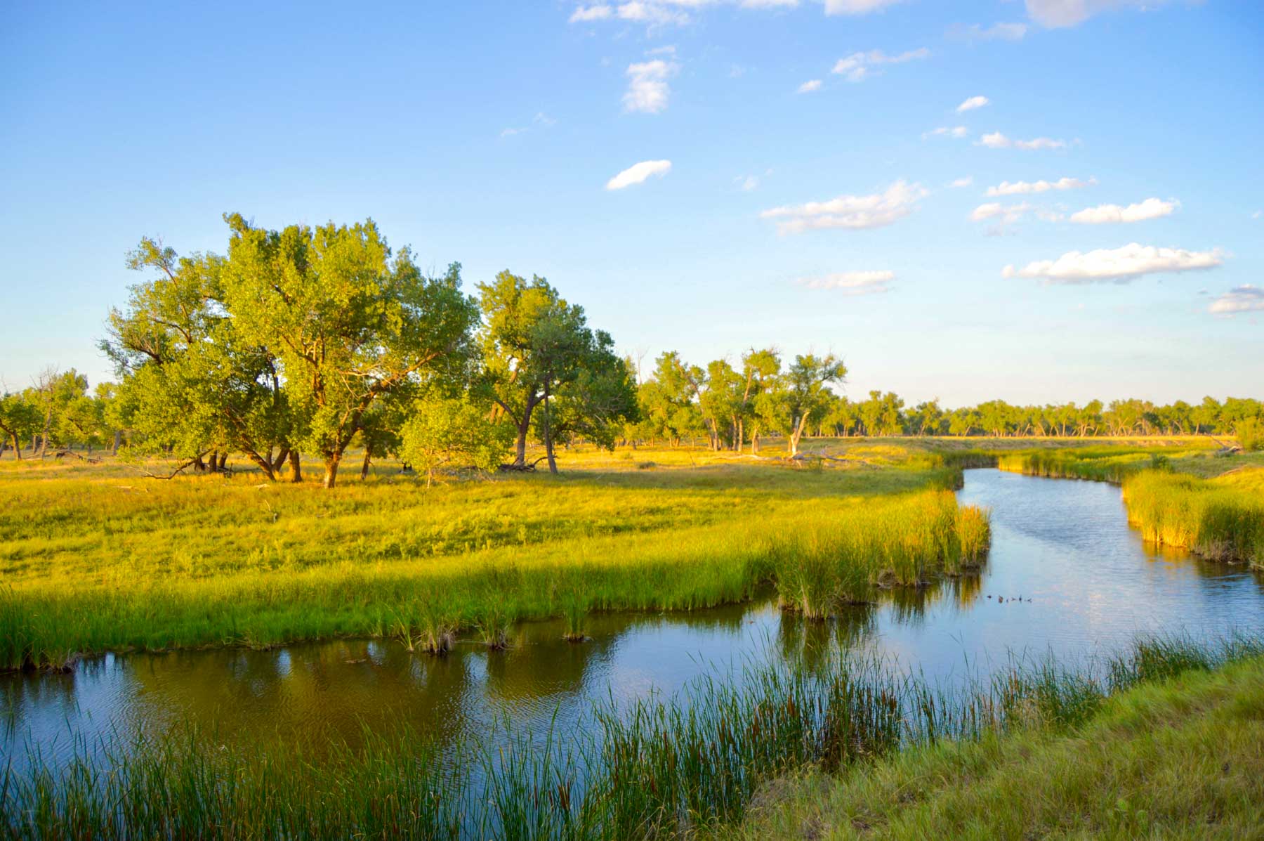 Freeman Family Ranches property picture 19 of 63