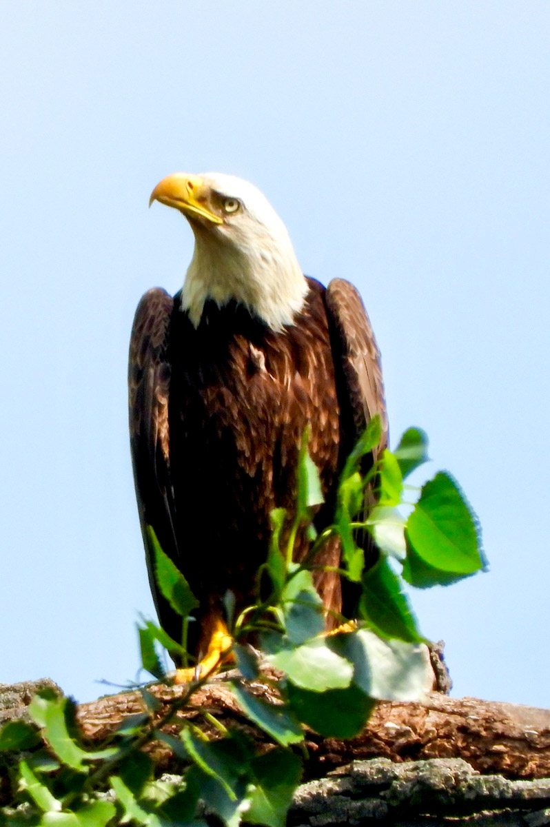 Freeman Family Ranches property picture 24 of 63