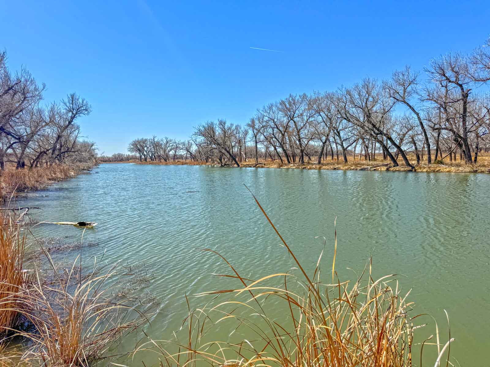 Freeman Family Ranches property picture 5 of 26