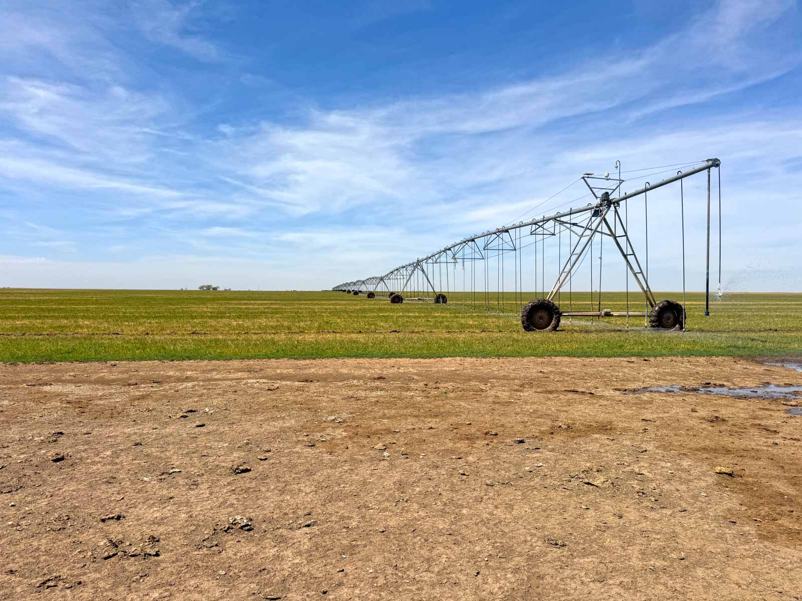 Freeman Family Ranches property picture 3 of 26