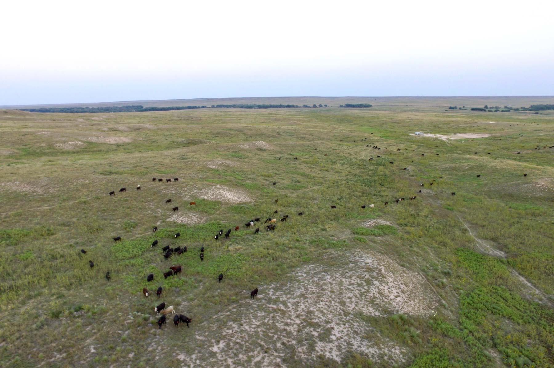 Freeman Family Ranches property picture 12 of 63