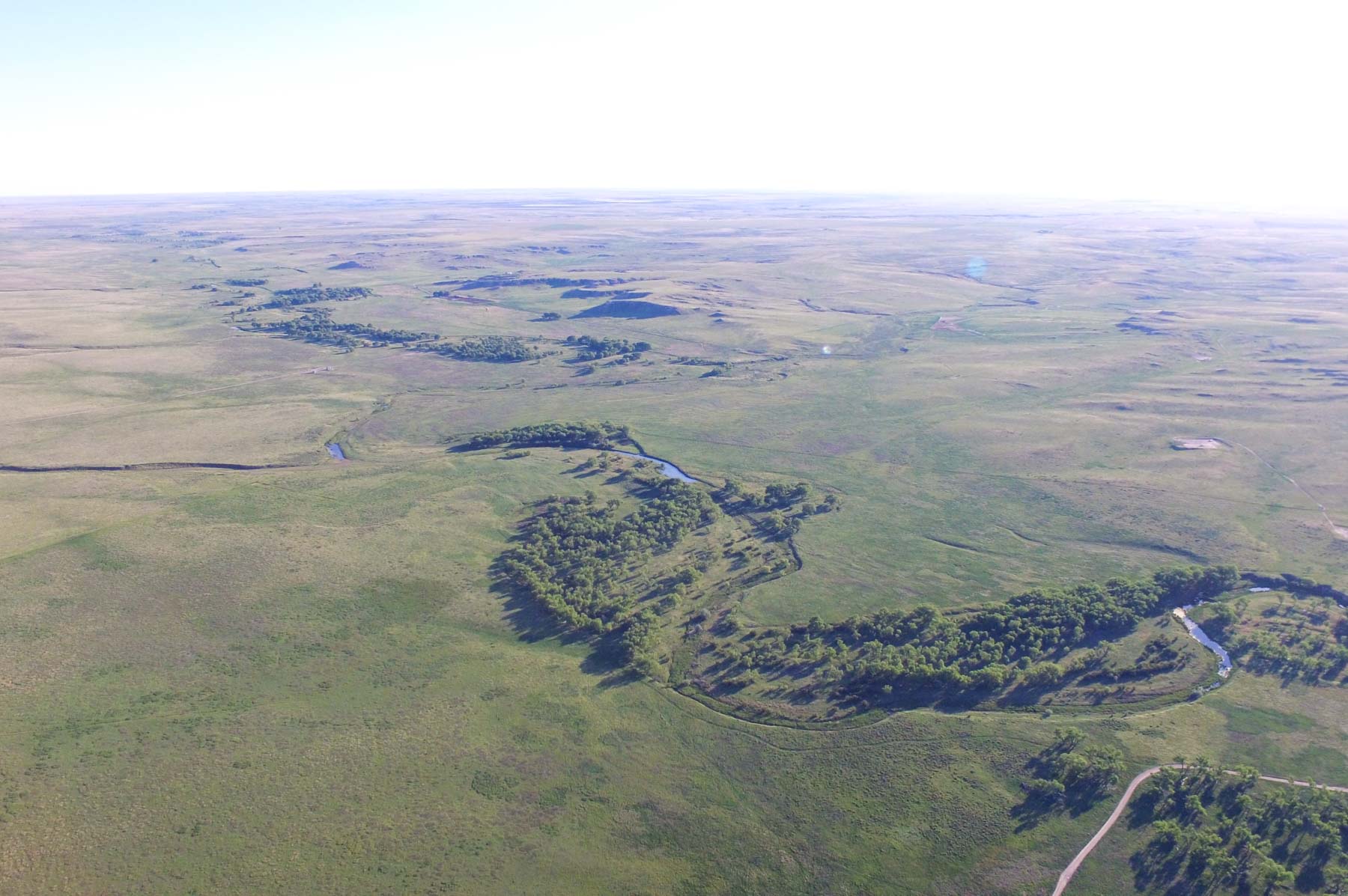 Freeman Family Ranches property picture 55 of 63