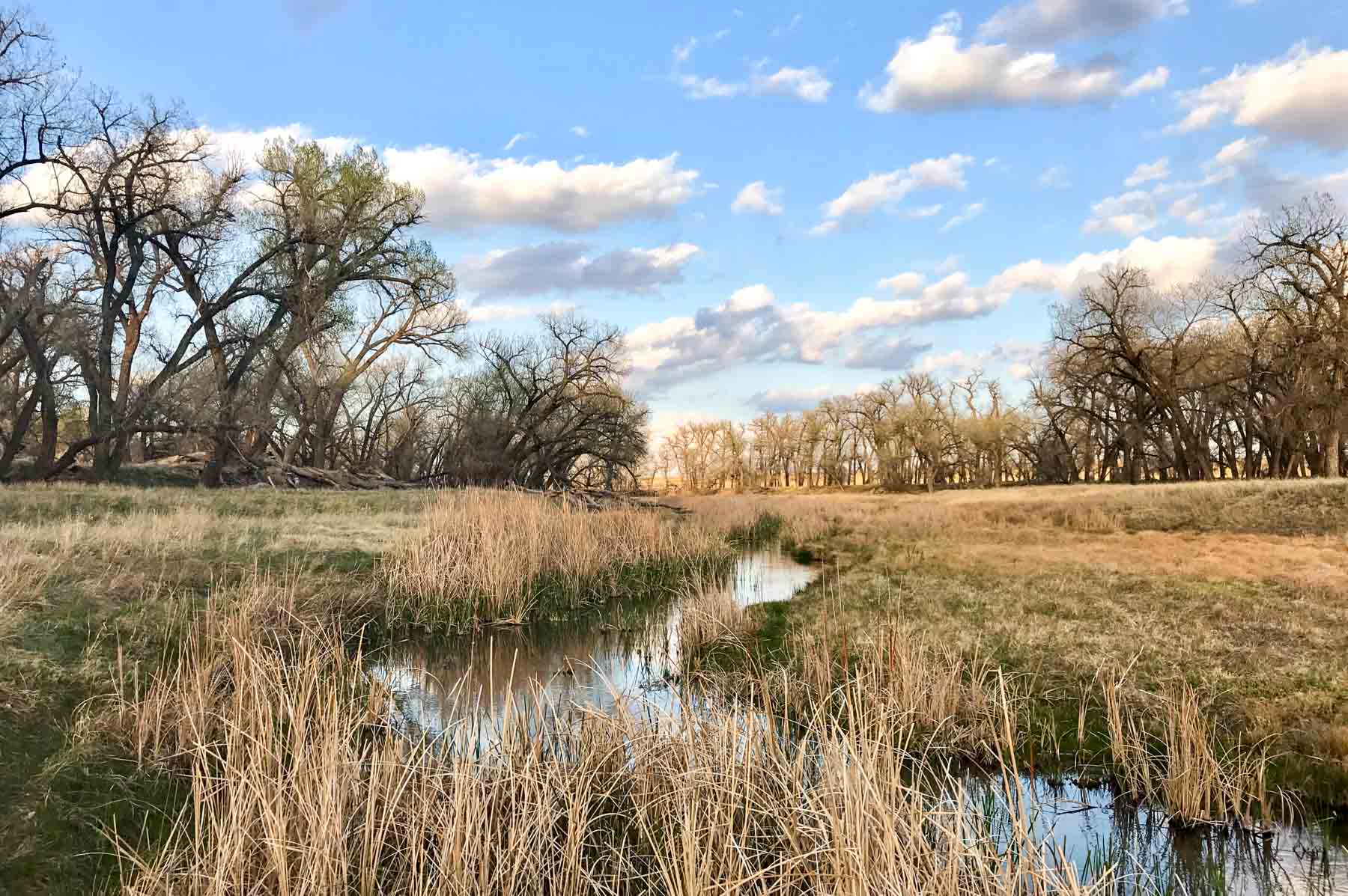 Freeman Family Ranches property picture 40 of 63