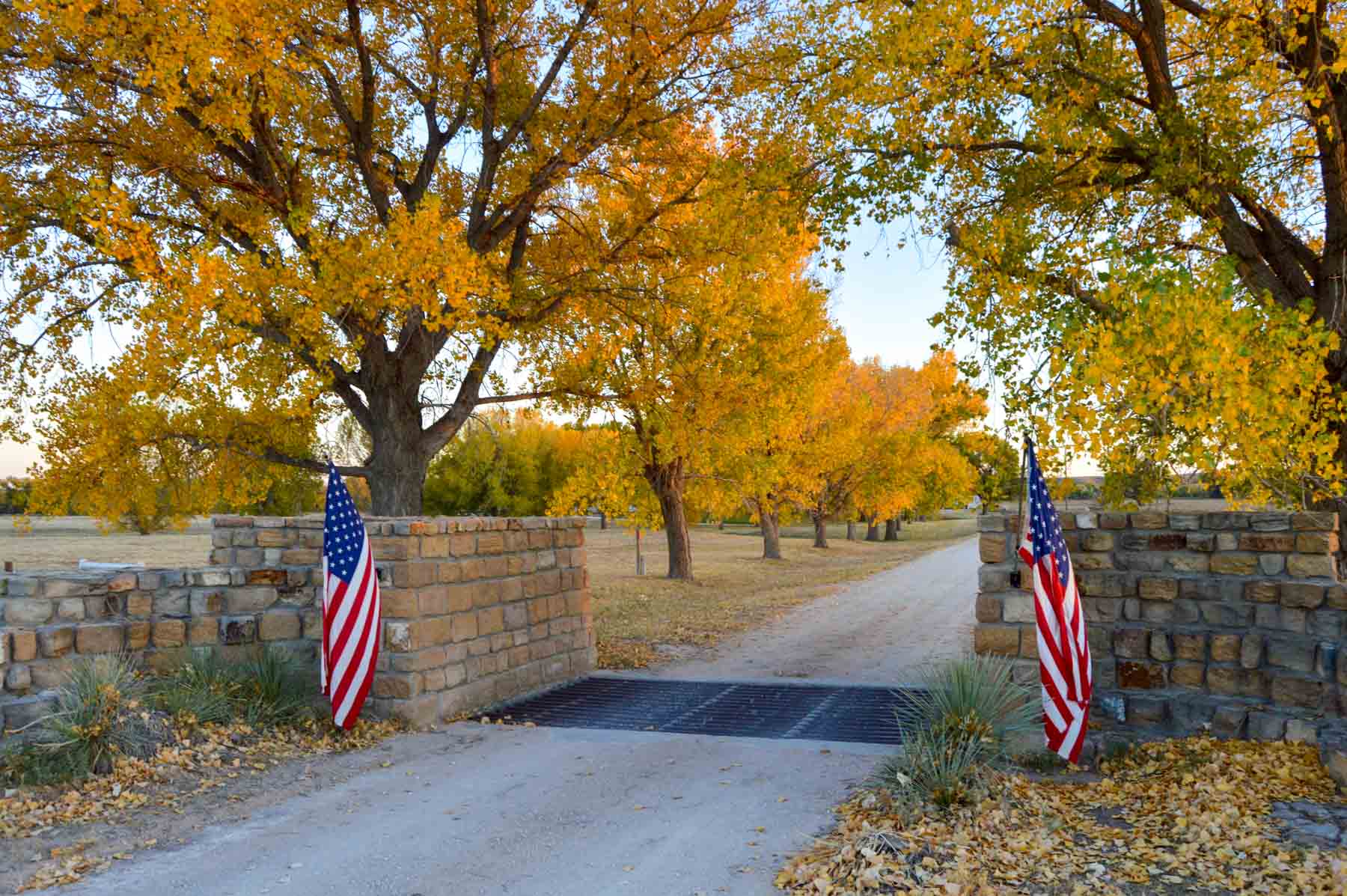 Freeman Family Ranches property picture 11 of 63