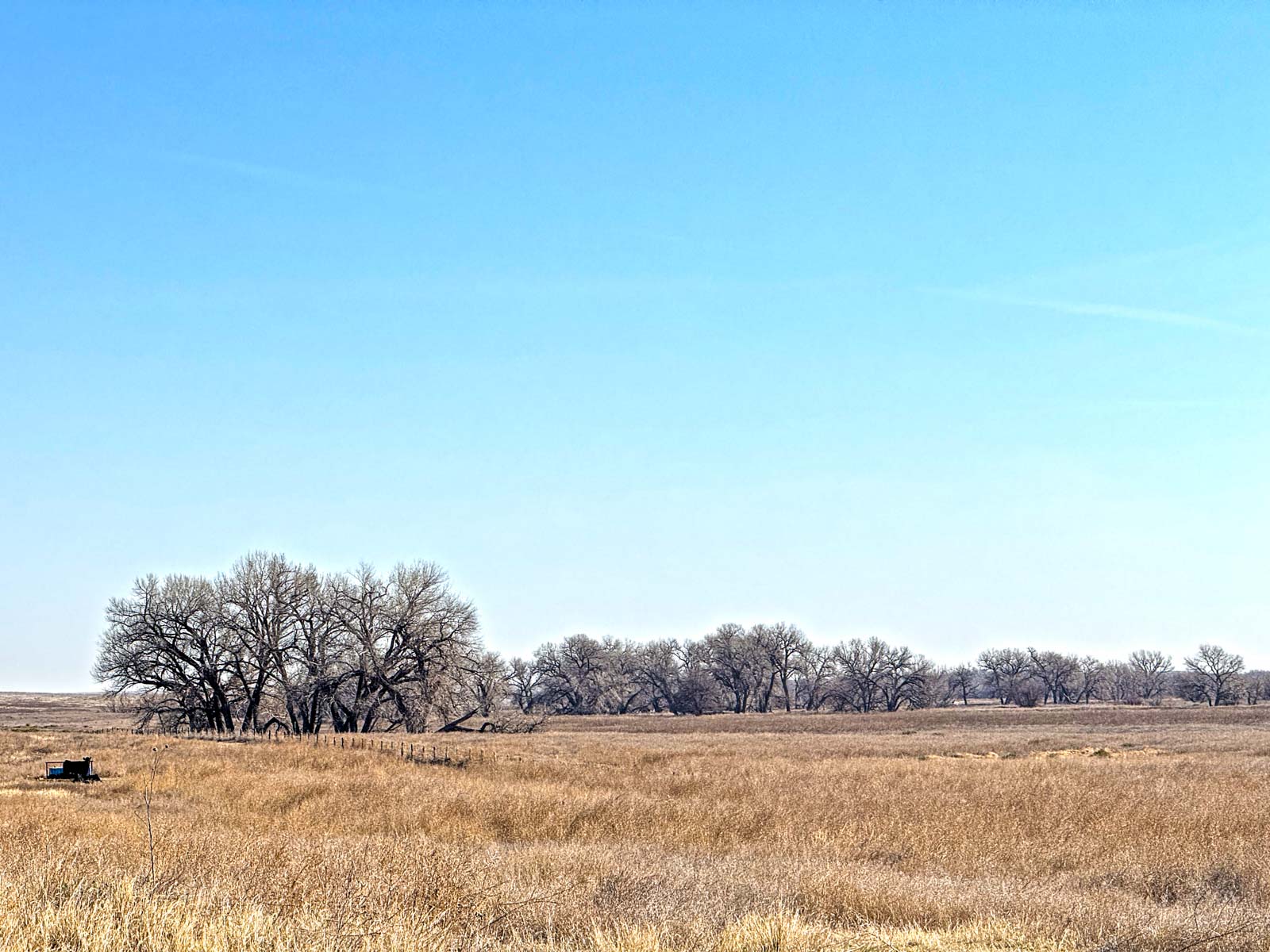 Freeman Family Ranches property picture 9 of 26