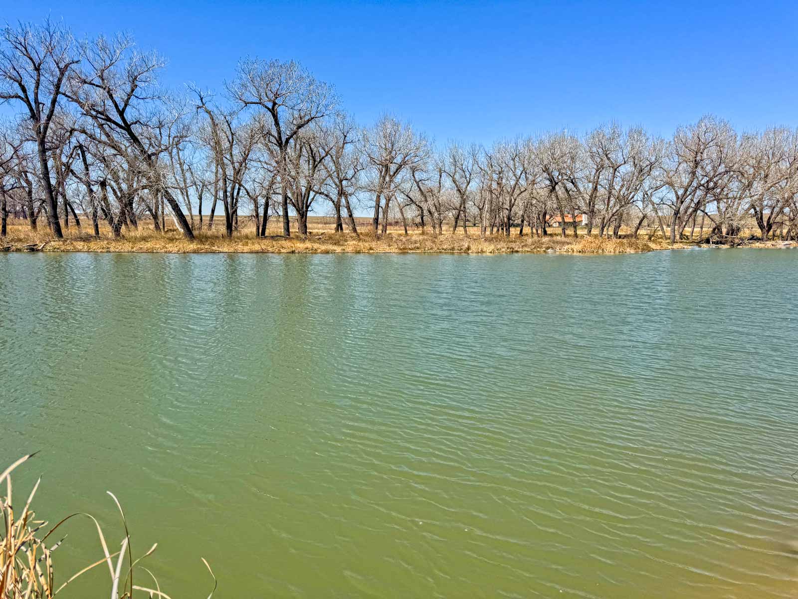 Freeman Family Ranches property picture 23 of 26