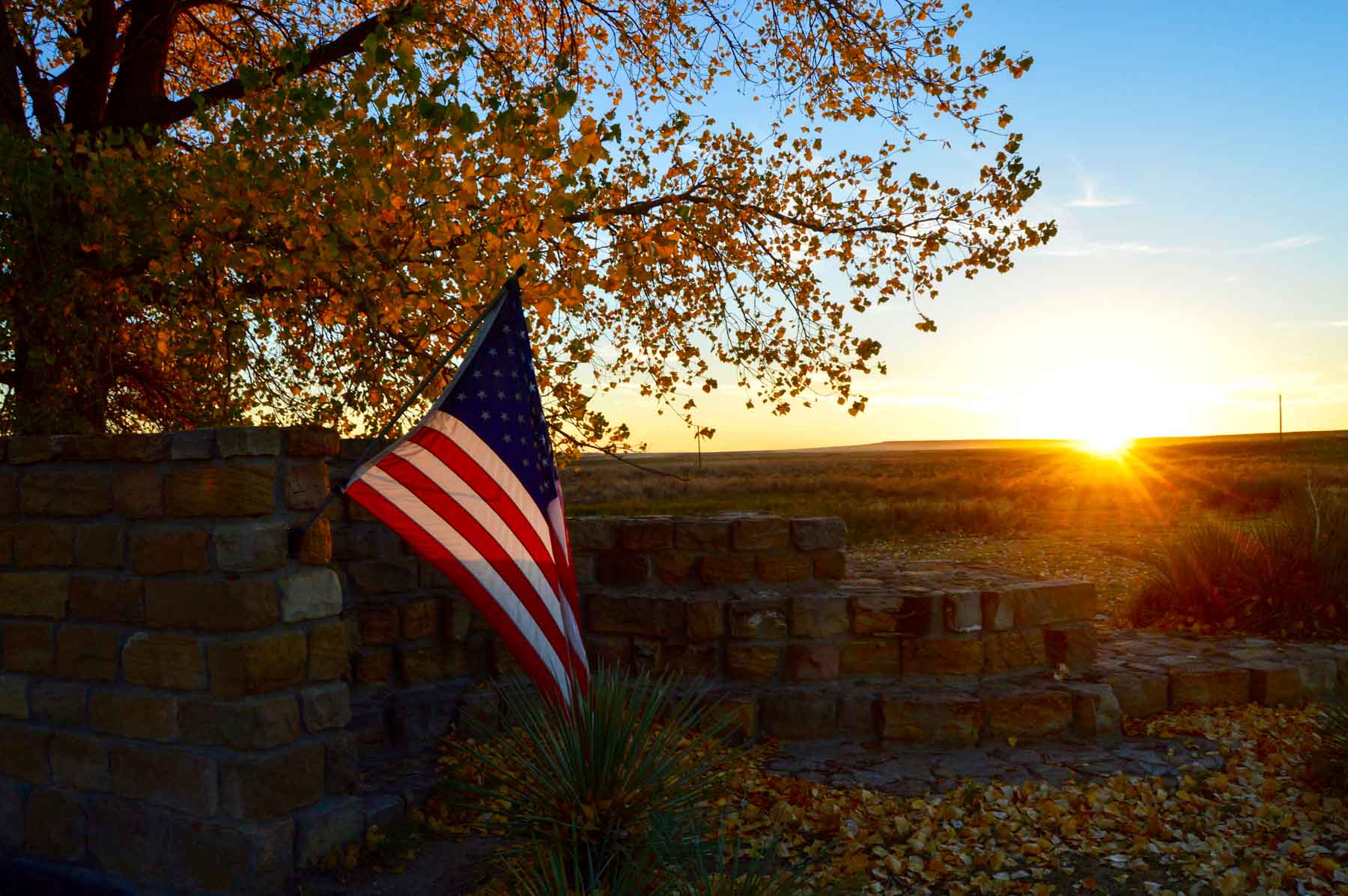 Freeman Family Ranches property picture 28 of 63