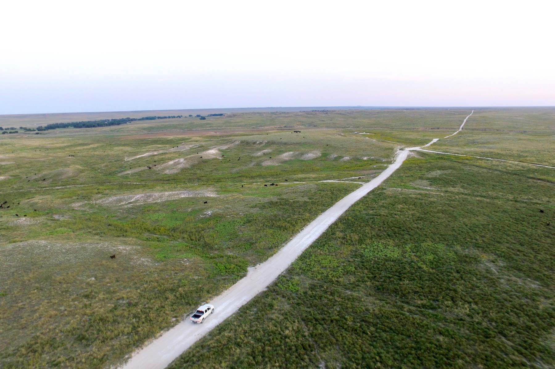 Freeman Family Ranches property picture 15 of 63