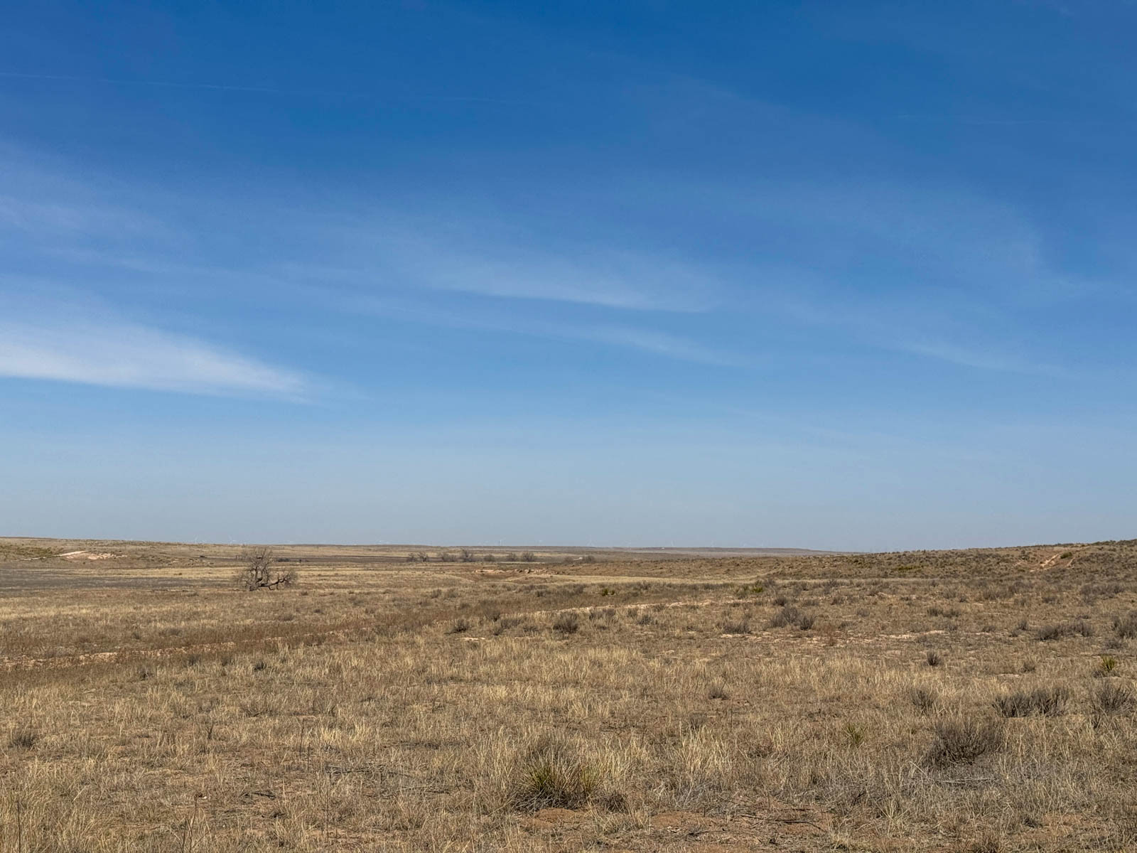 Freeman Family Ranches property picture 21 of 26