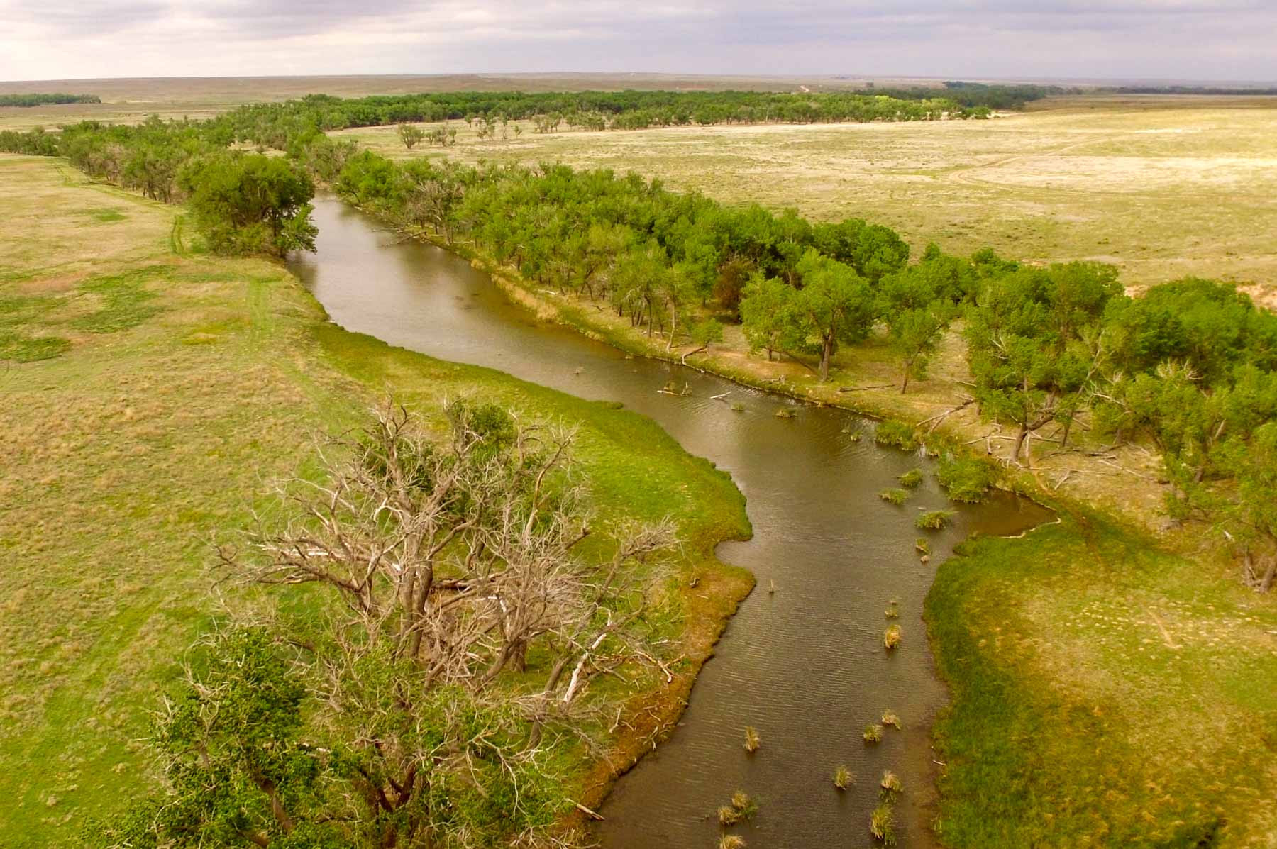 Freeman Family Ranches property picture 45 of 63