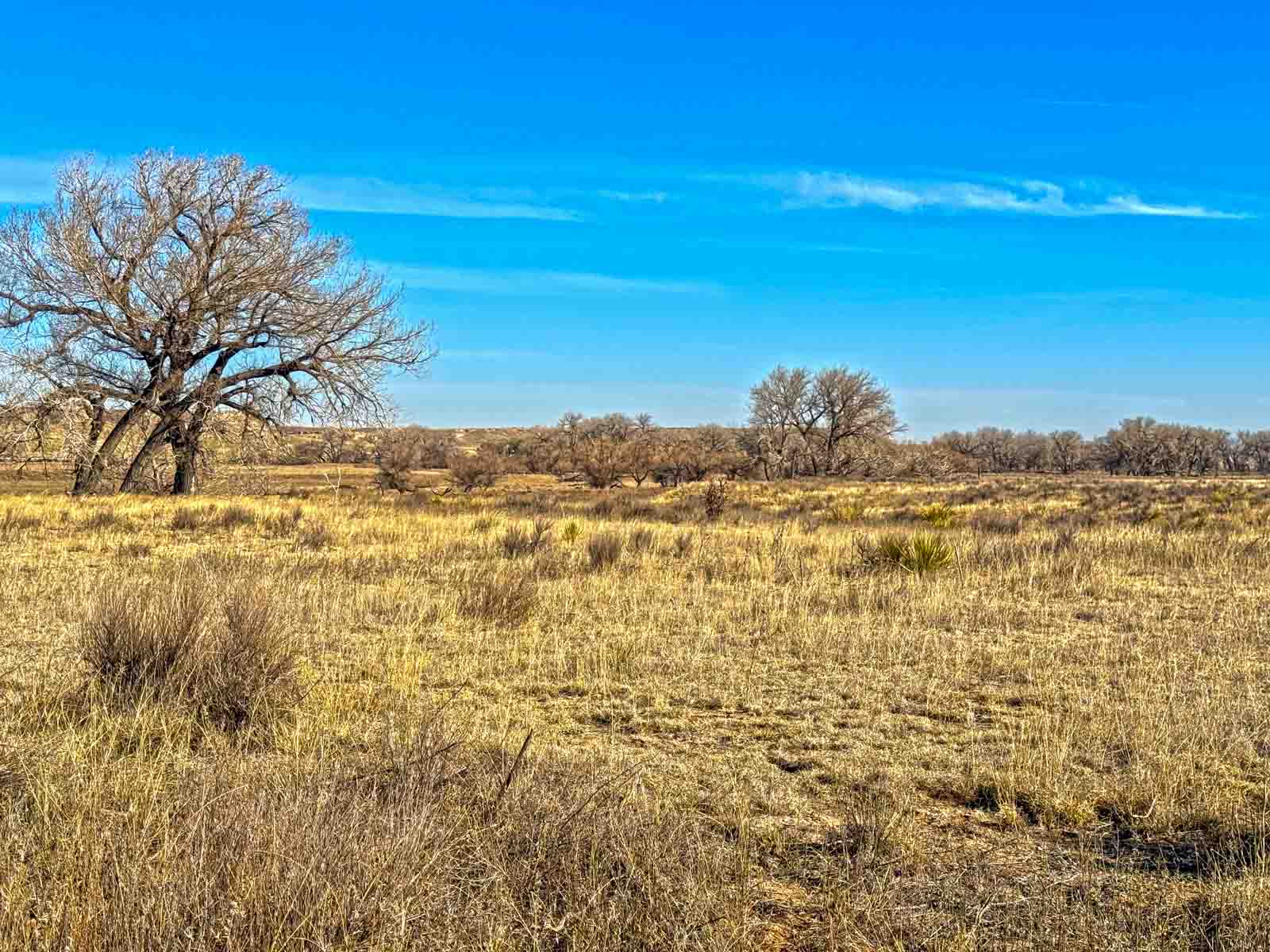 Freeman Family Ranches property picture 17 of 26