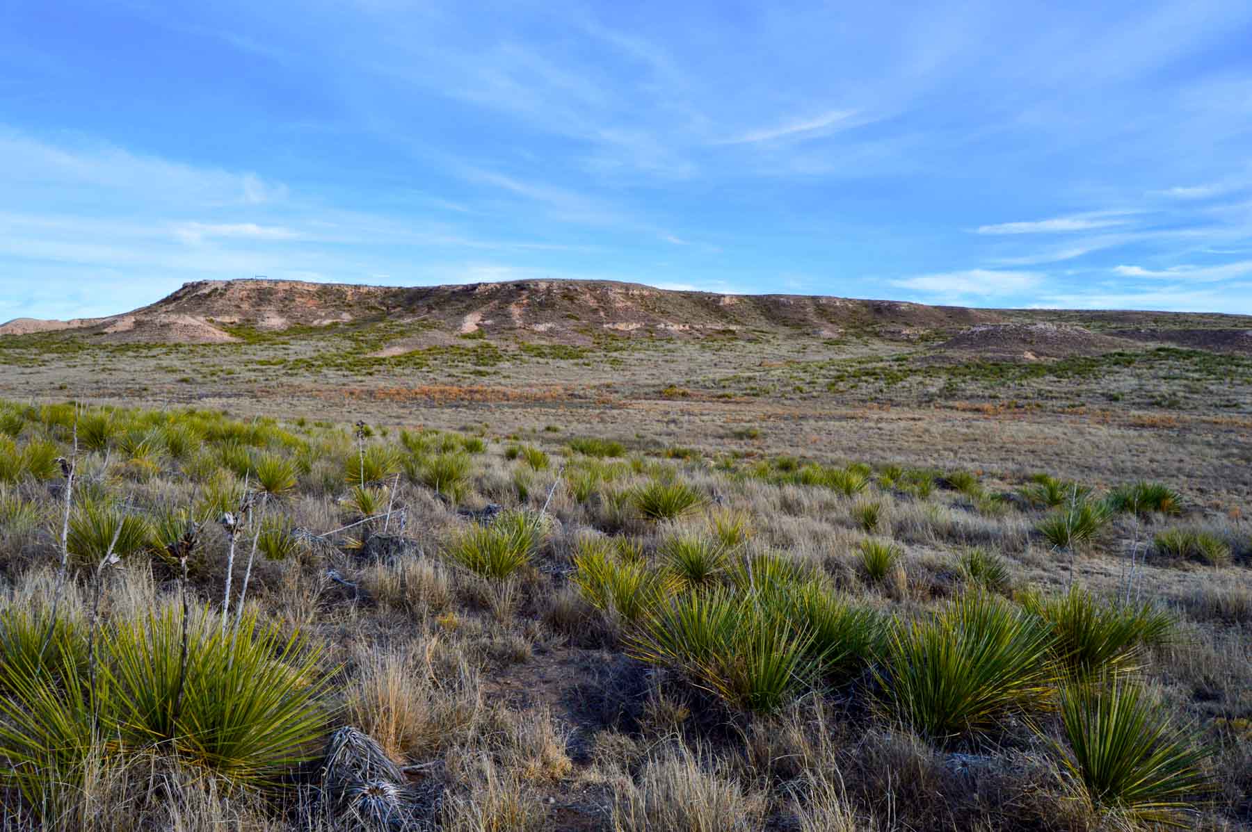 Freeman Family Ranches property picture 21 of 63