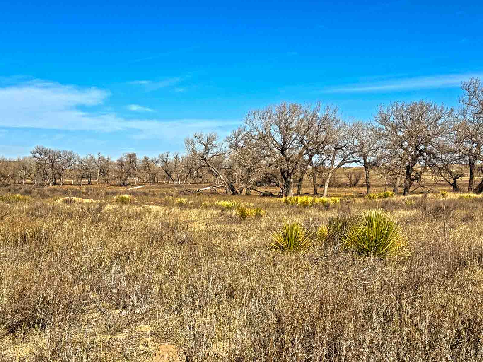 Freeman Family Ranches property picture 15 of 26