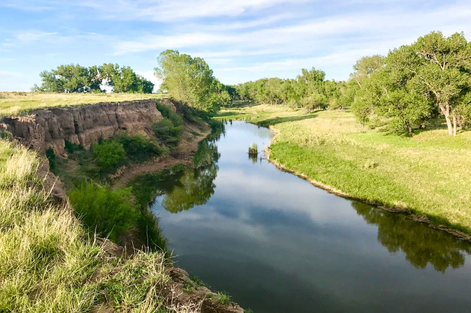 Freeman Family Ranches property picture 31 of 63