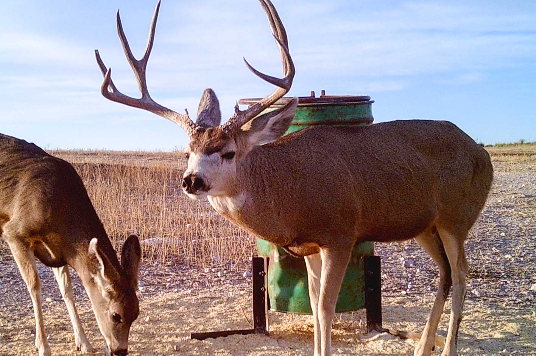 Freeman Family Ranches property picture 63 of 63