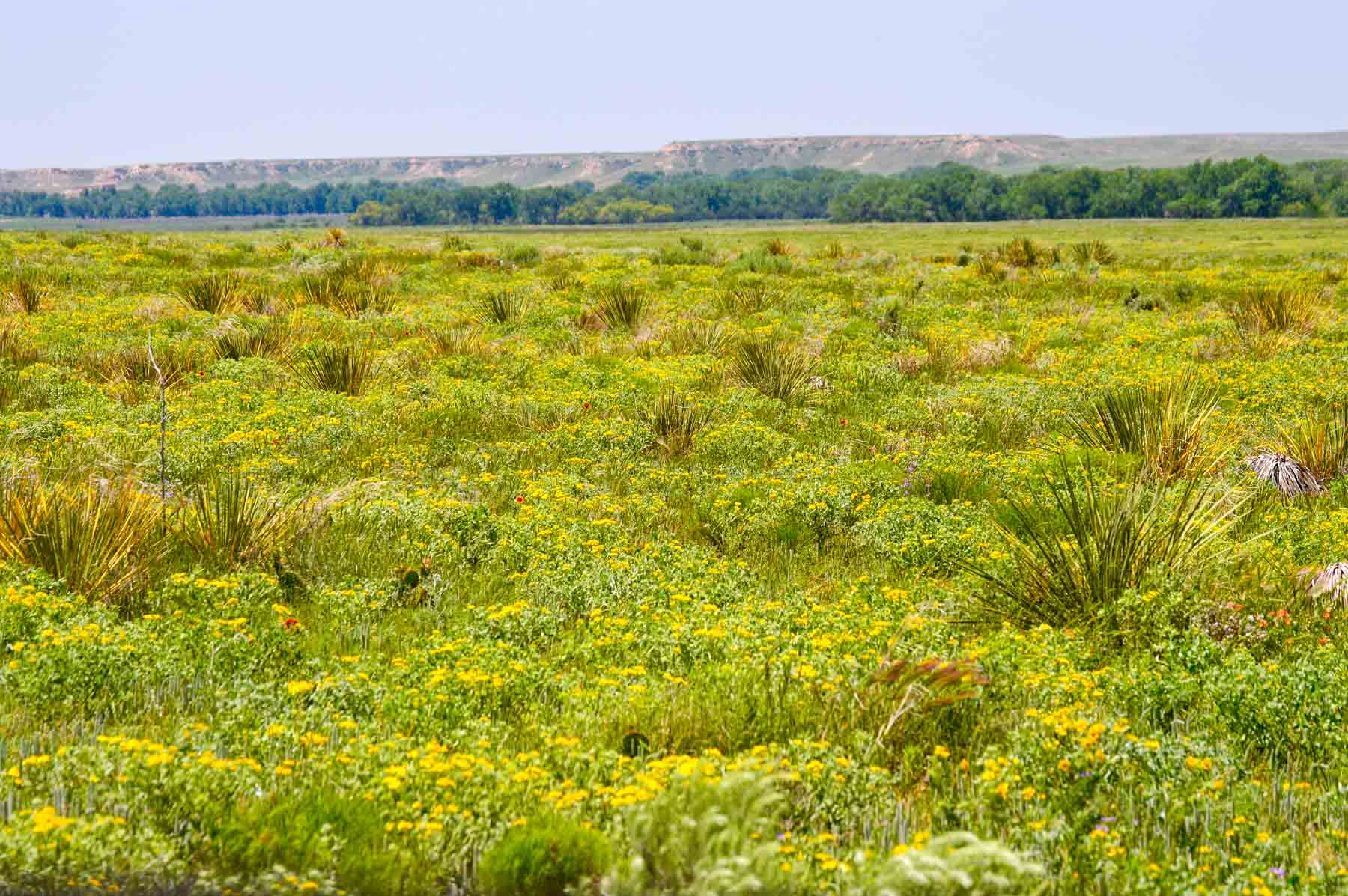 Freeman Family Ranches property picture 10 of 63
