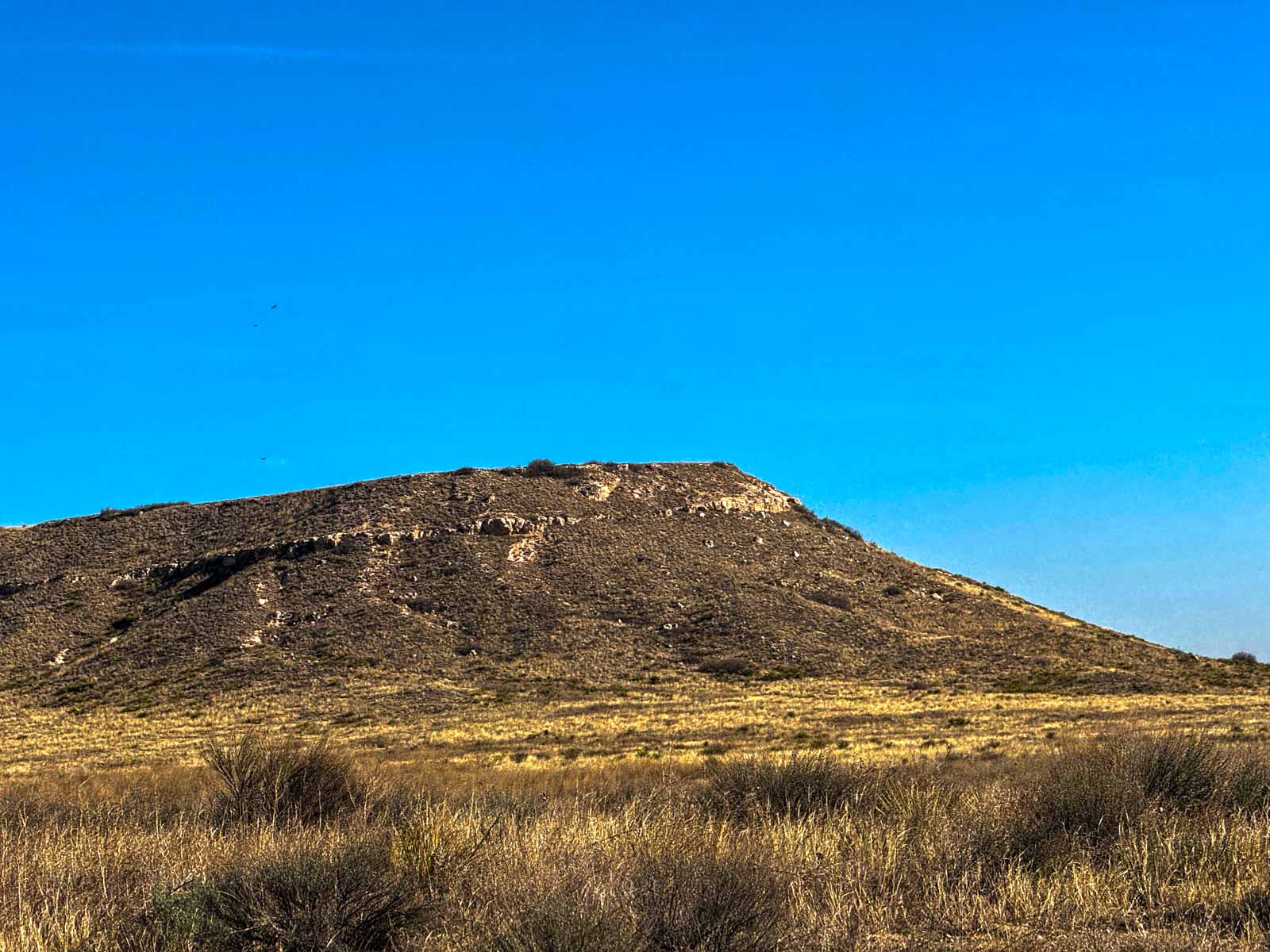 Freeman Family Ranches property picture 11 of 26