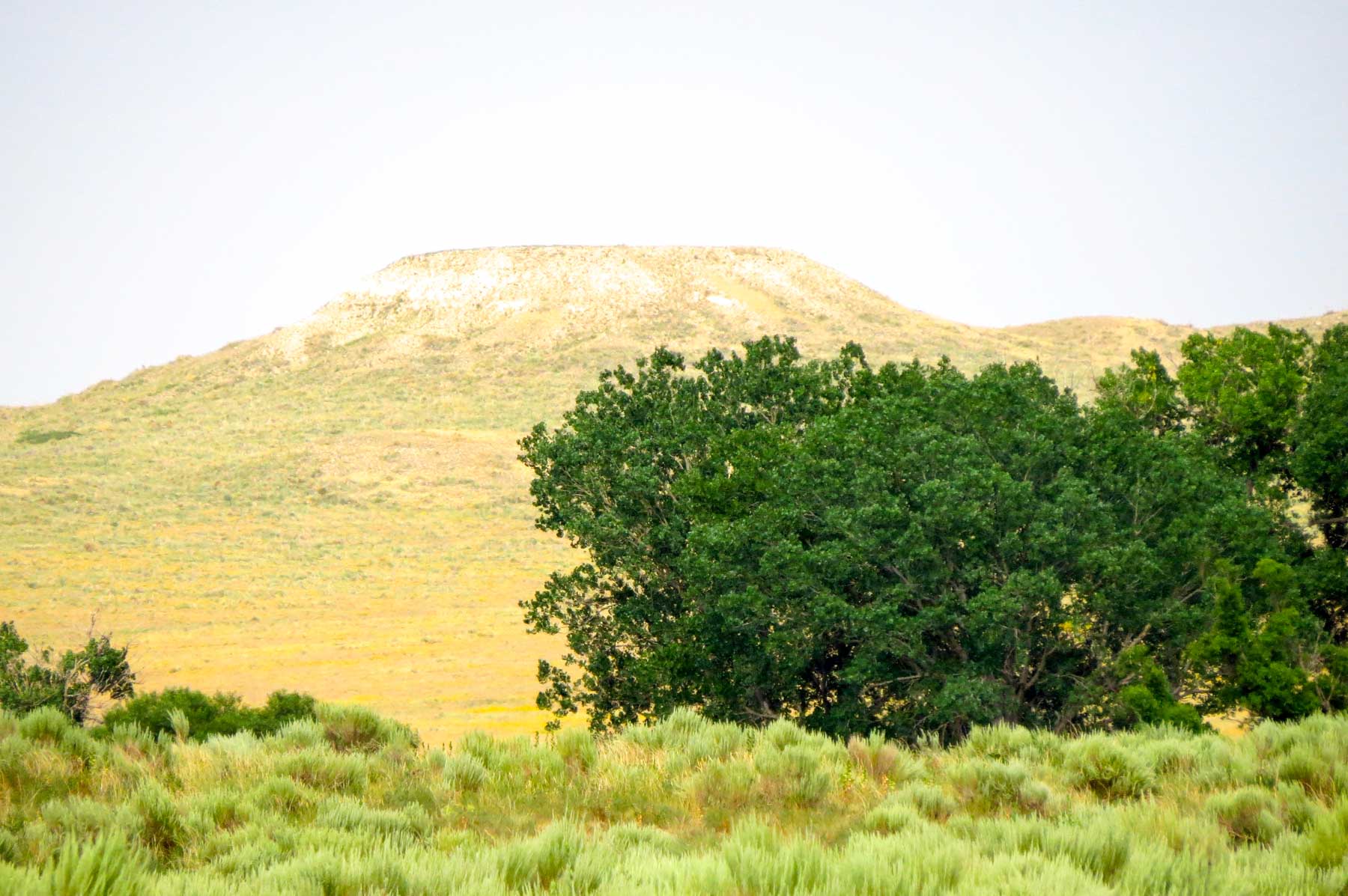 Freeman Family Ranches property picture 44 of 63