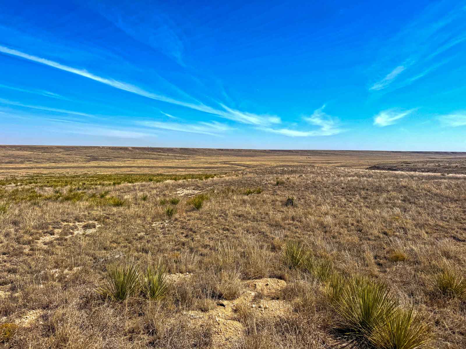 Freeman Family Ranches property picture 16 of 26