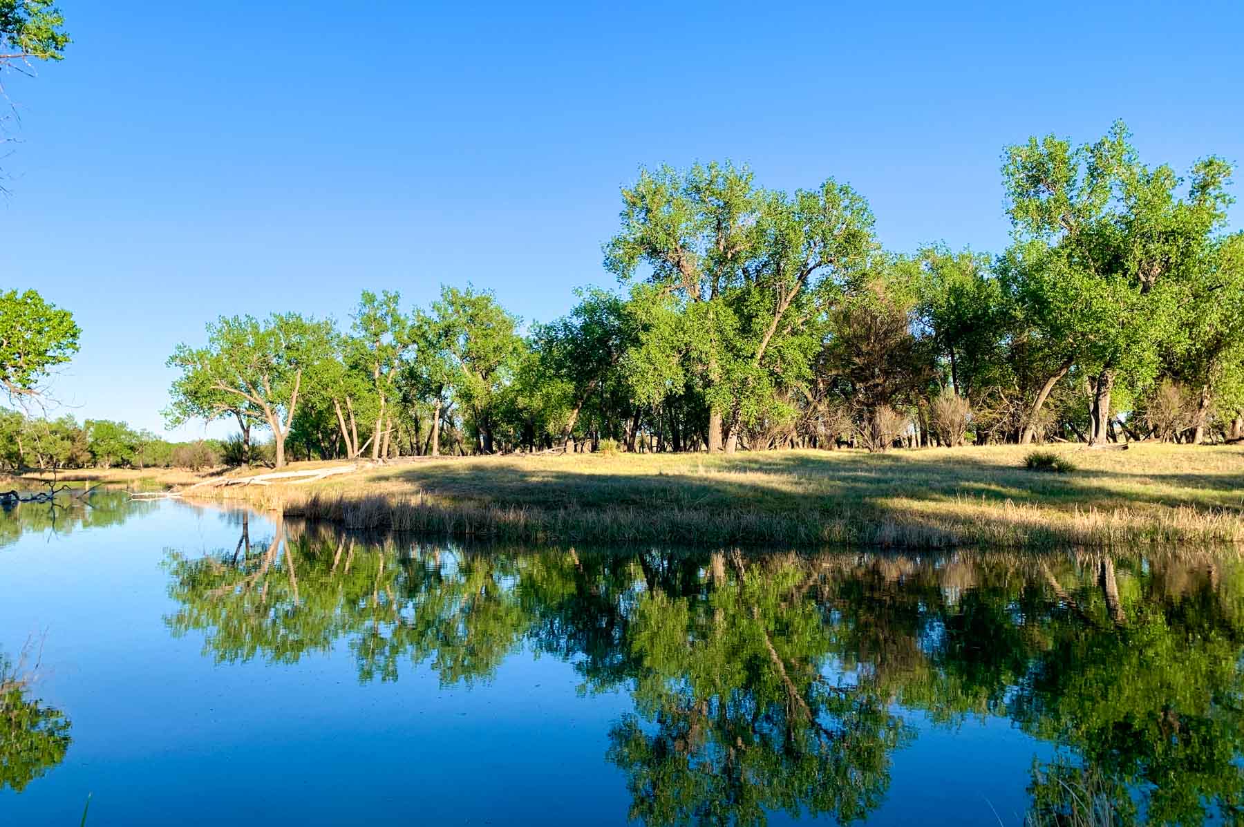 Freeman Family Ranches property picture 60 of 63