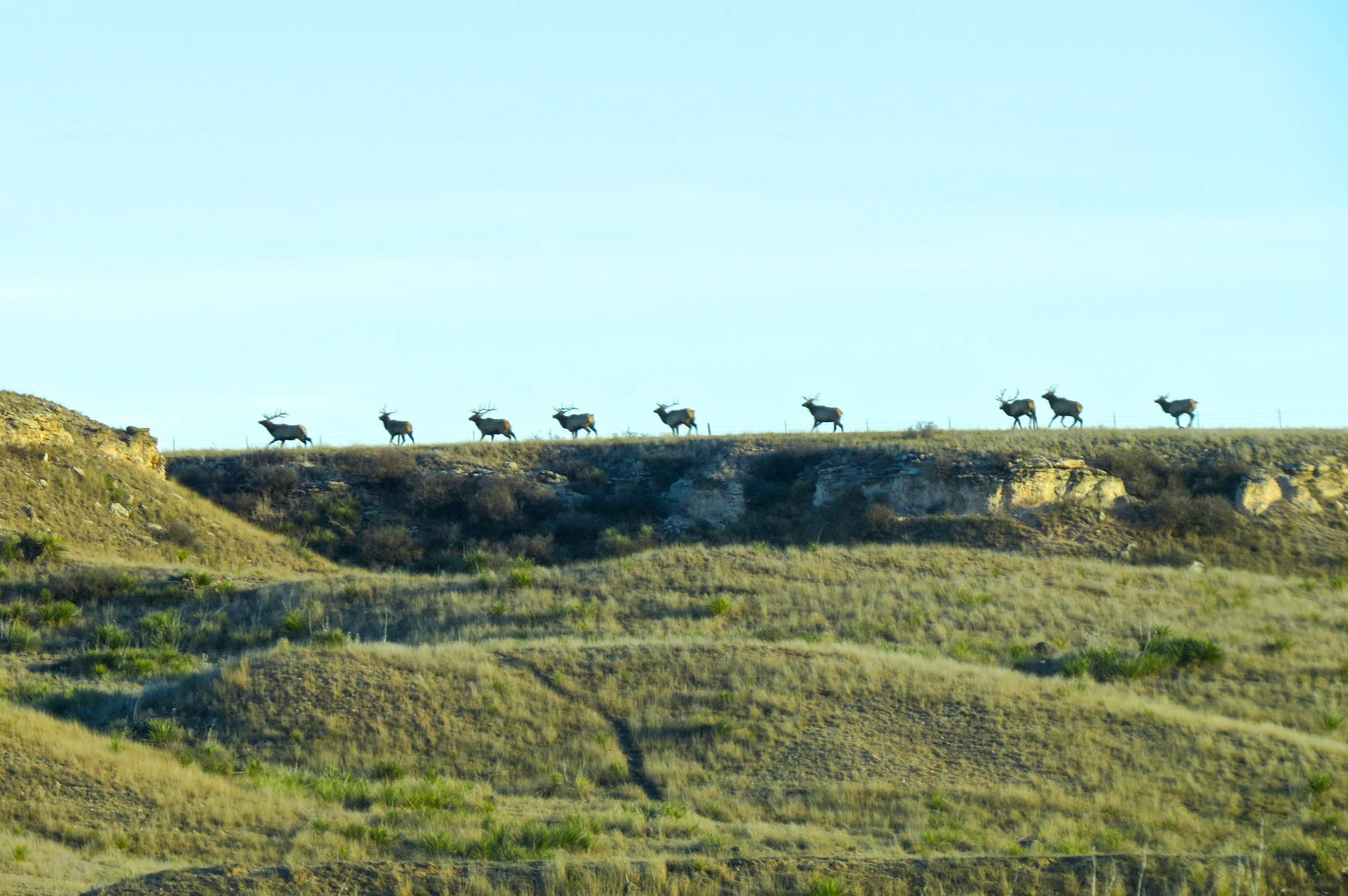 Freeman Family Ranches property picture 32 of 63