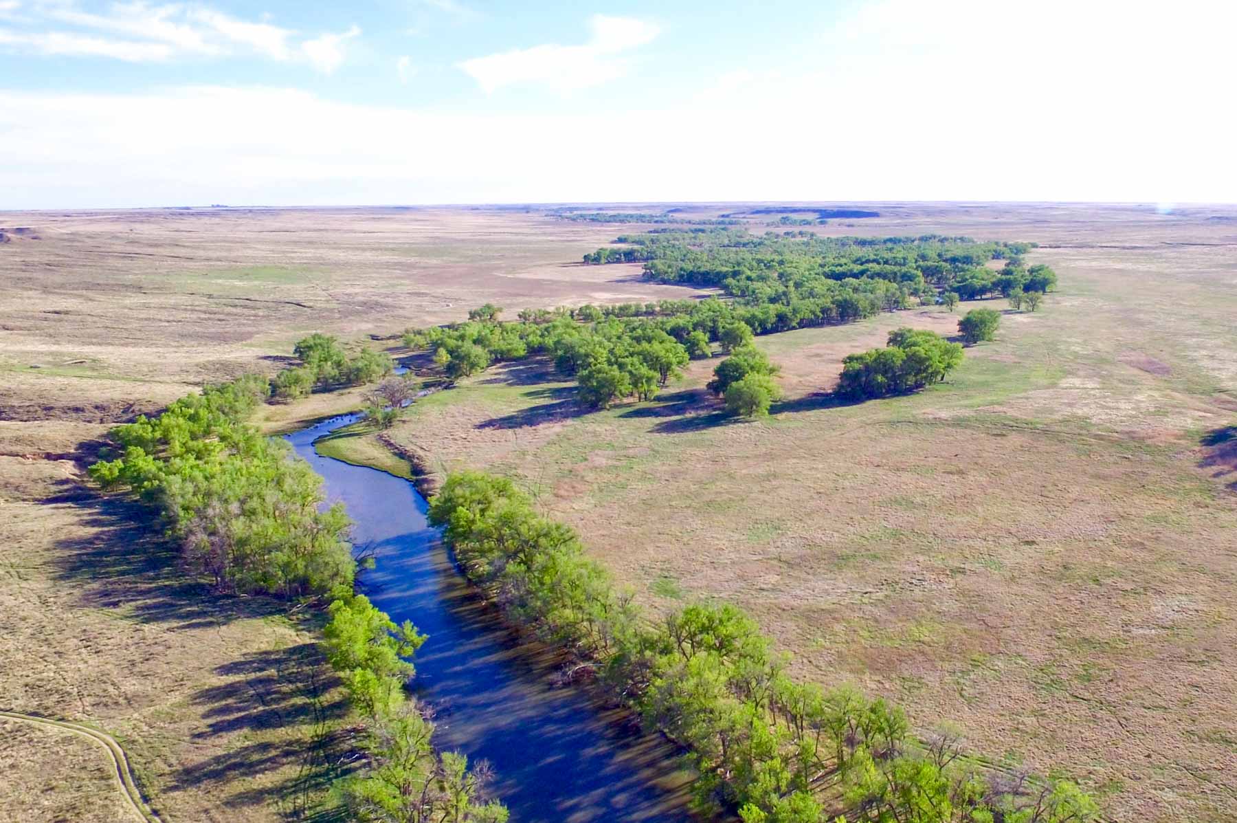 Freeman Family Ranches property picture 43 of 63