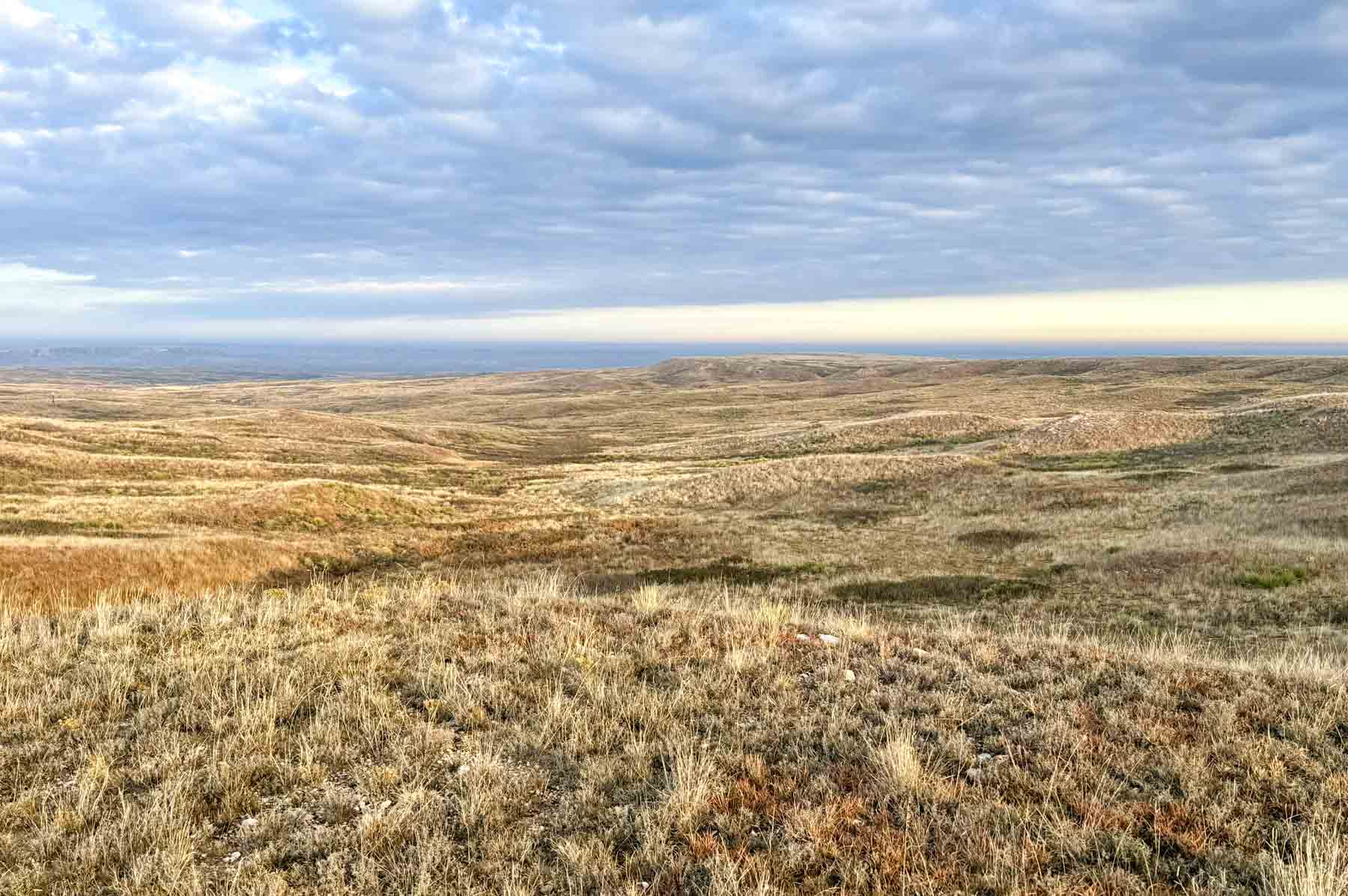Freeman Family Ranches property picture 58 of 63