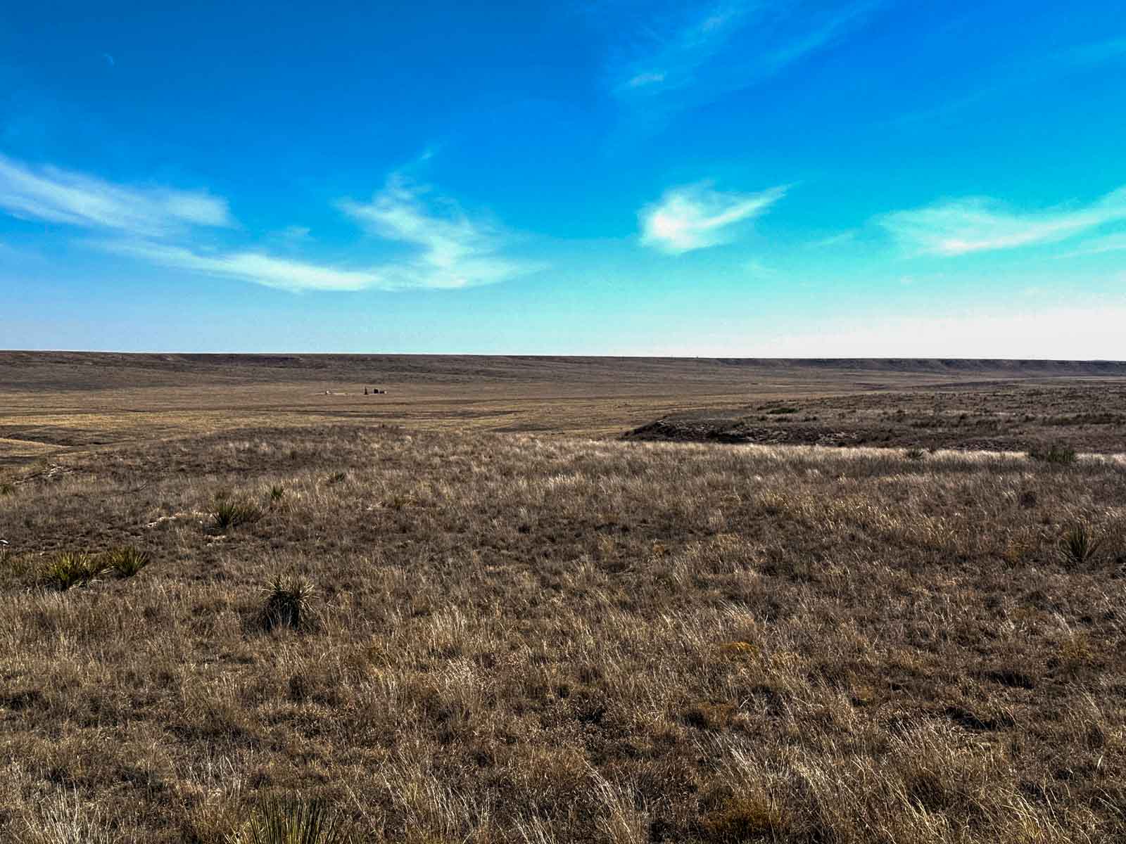 Freeman Family Ranches property picture 18 of 26