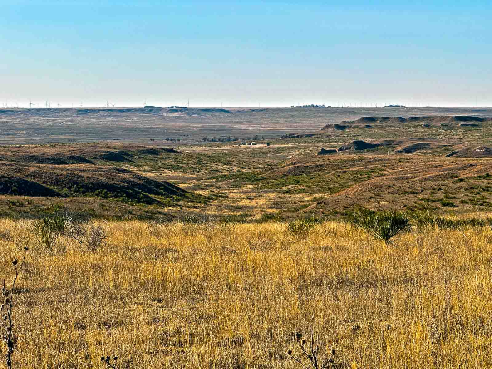 Freeman Family Ranches property picture 4 of 26