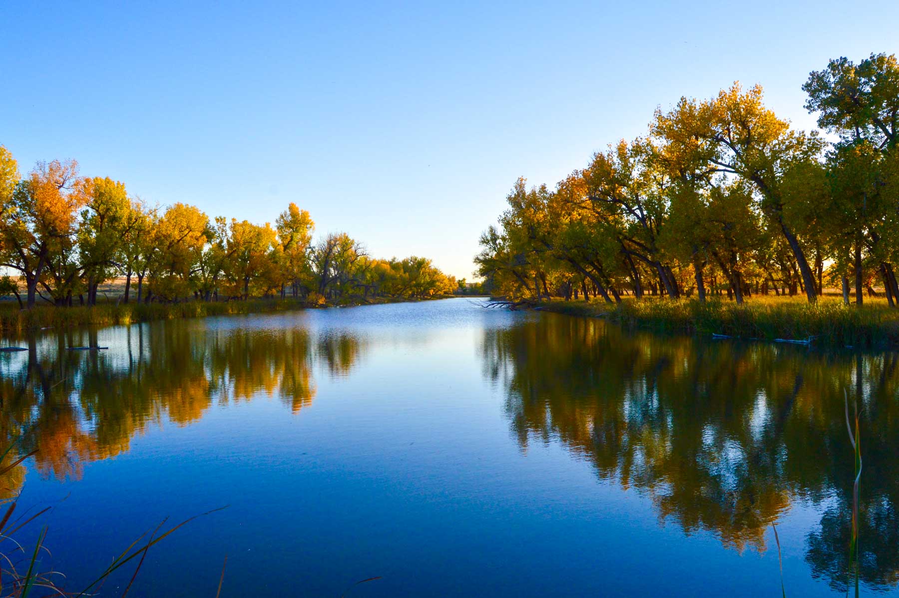 Freeman Family Ranches property picture 27 of 63