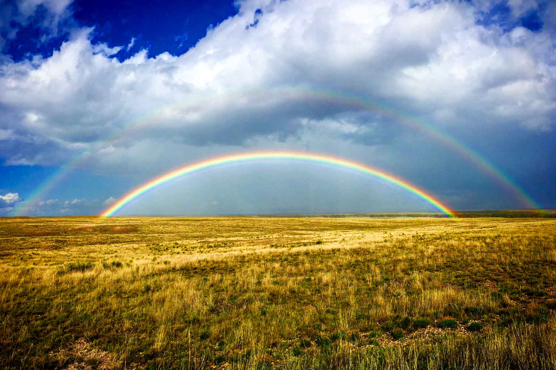 Freeman Family Ranches property picture 7 of 63