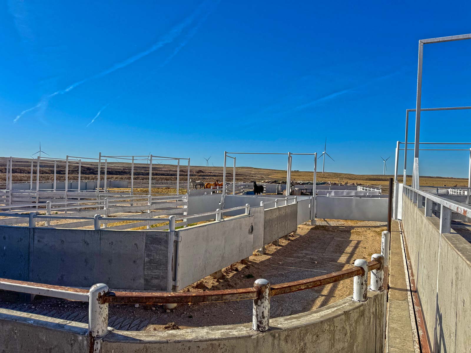 Freeman Family Ranches property picture 12 of 26