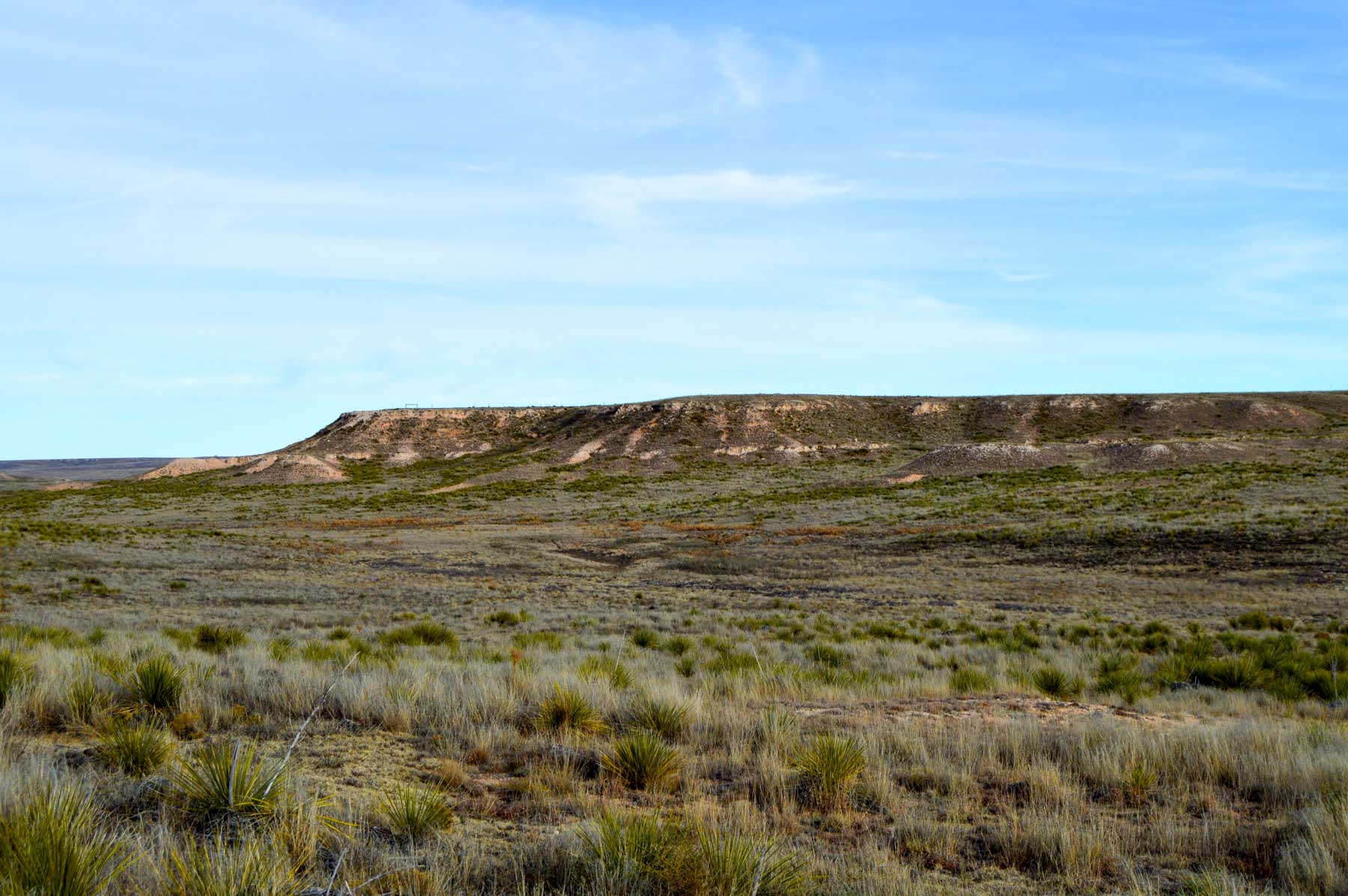 Freeman Family Ranches property picture 26 of 63
