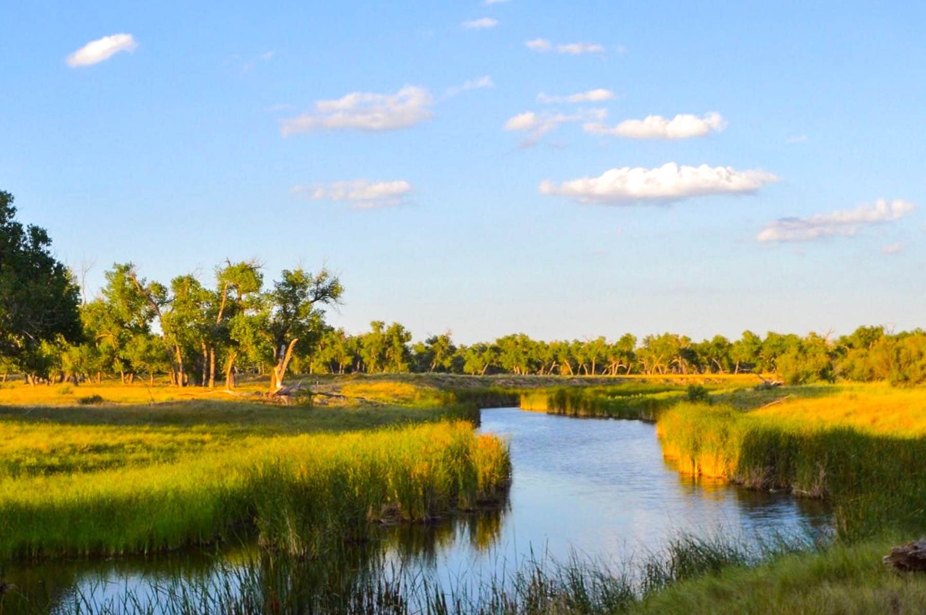 Freeman Family Ranches property picture 13 of 63