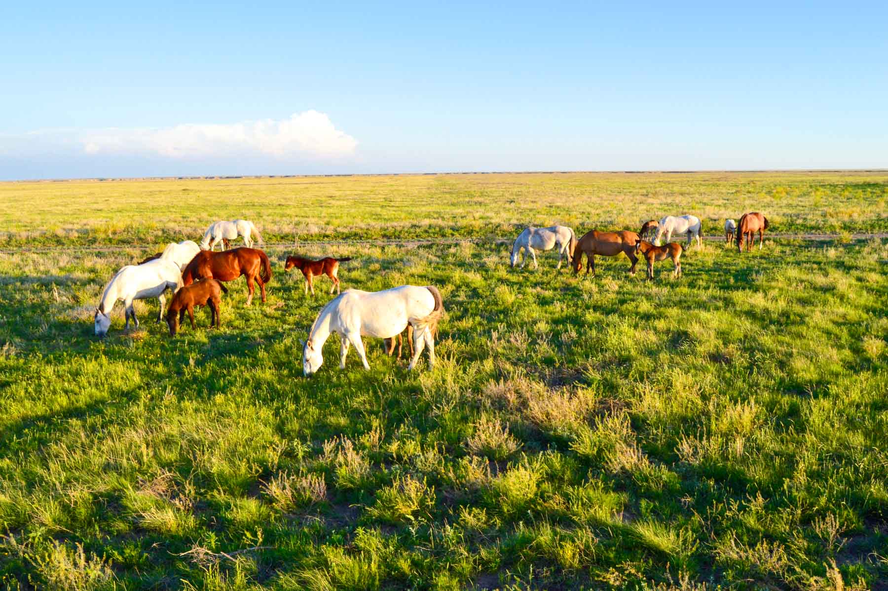 Freeman Family Ranches property picture 59 of 63