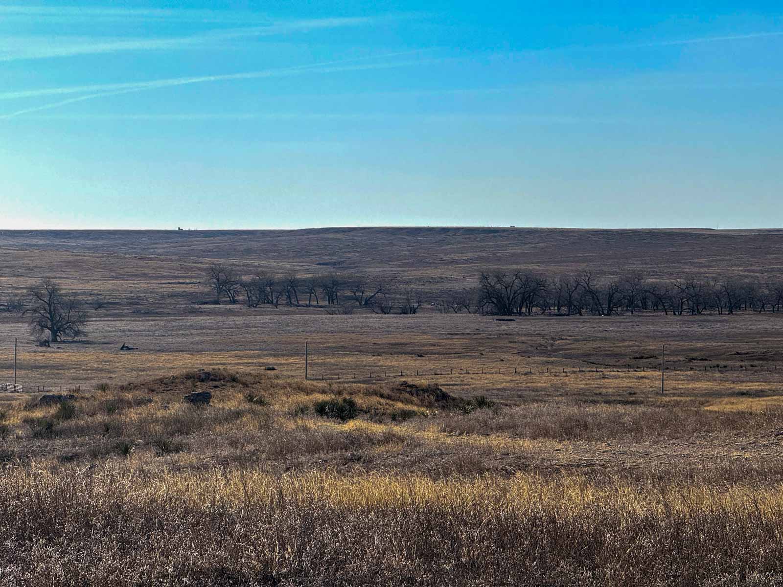 Freeman Family Ranches property picture 13 of 26