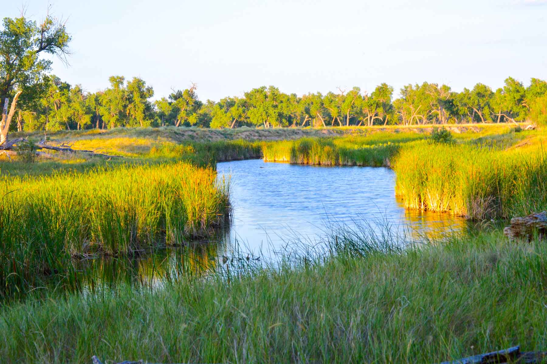 Freeman Family Ranches property picture 4 of 63