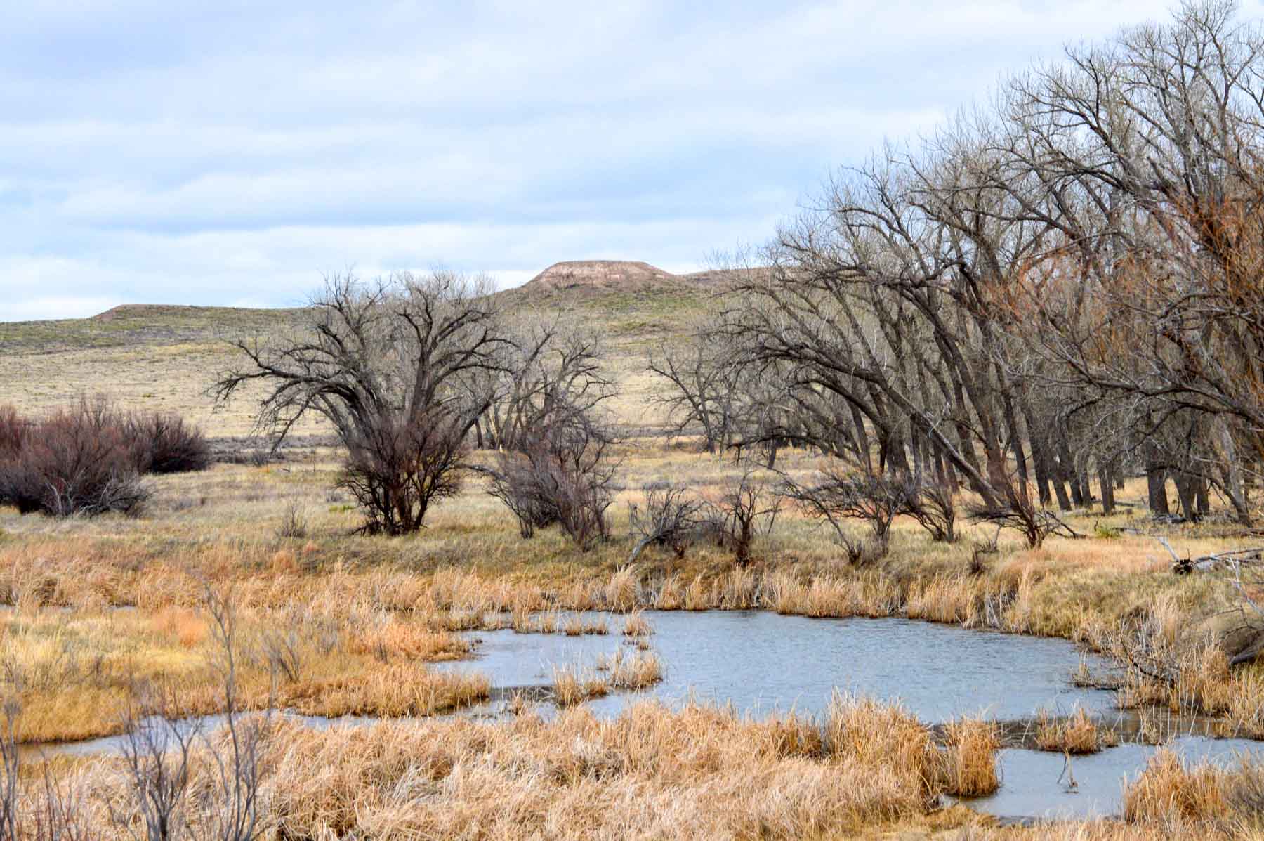 Freeman Family Ranches property picture 18 of 63