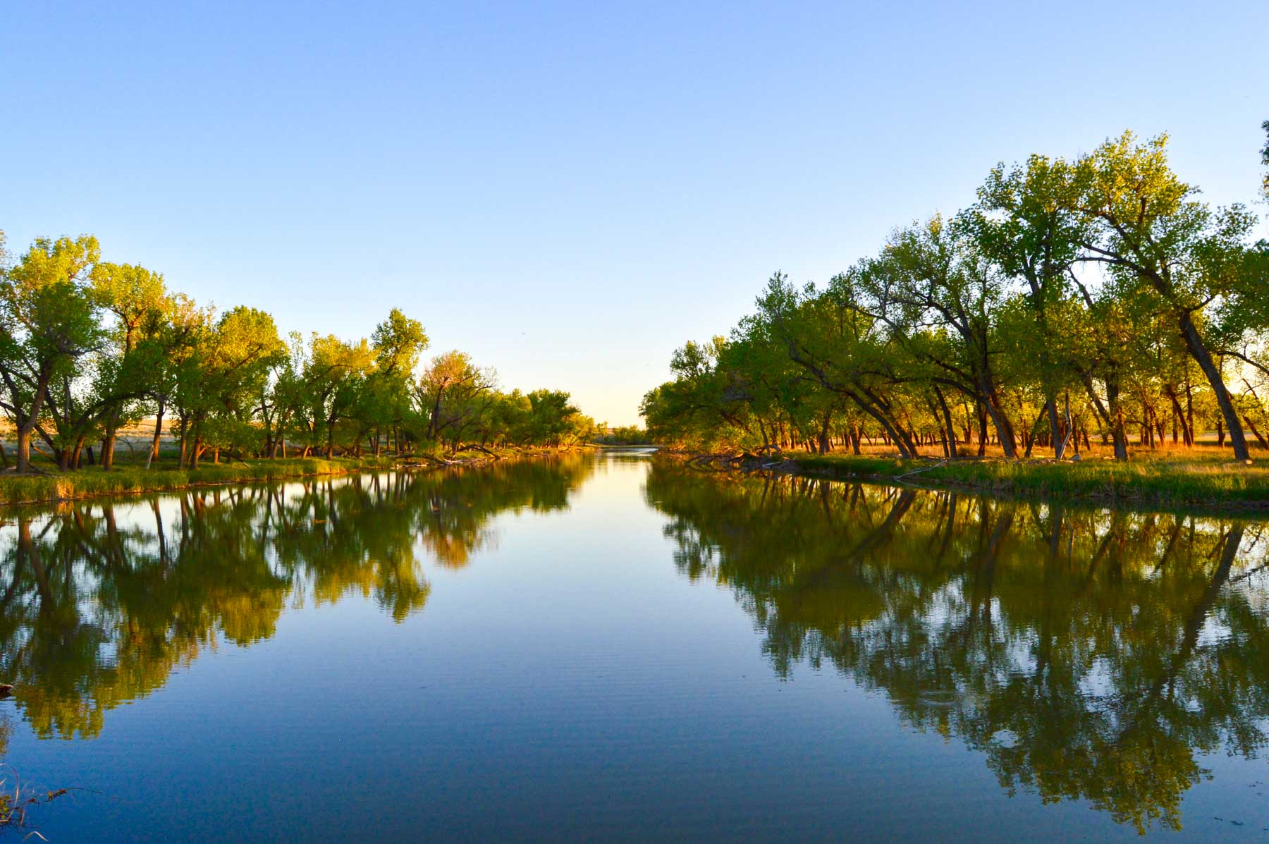 Freeman Family Ranches property picture 62 of 63
