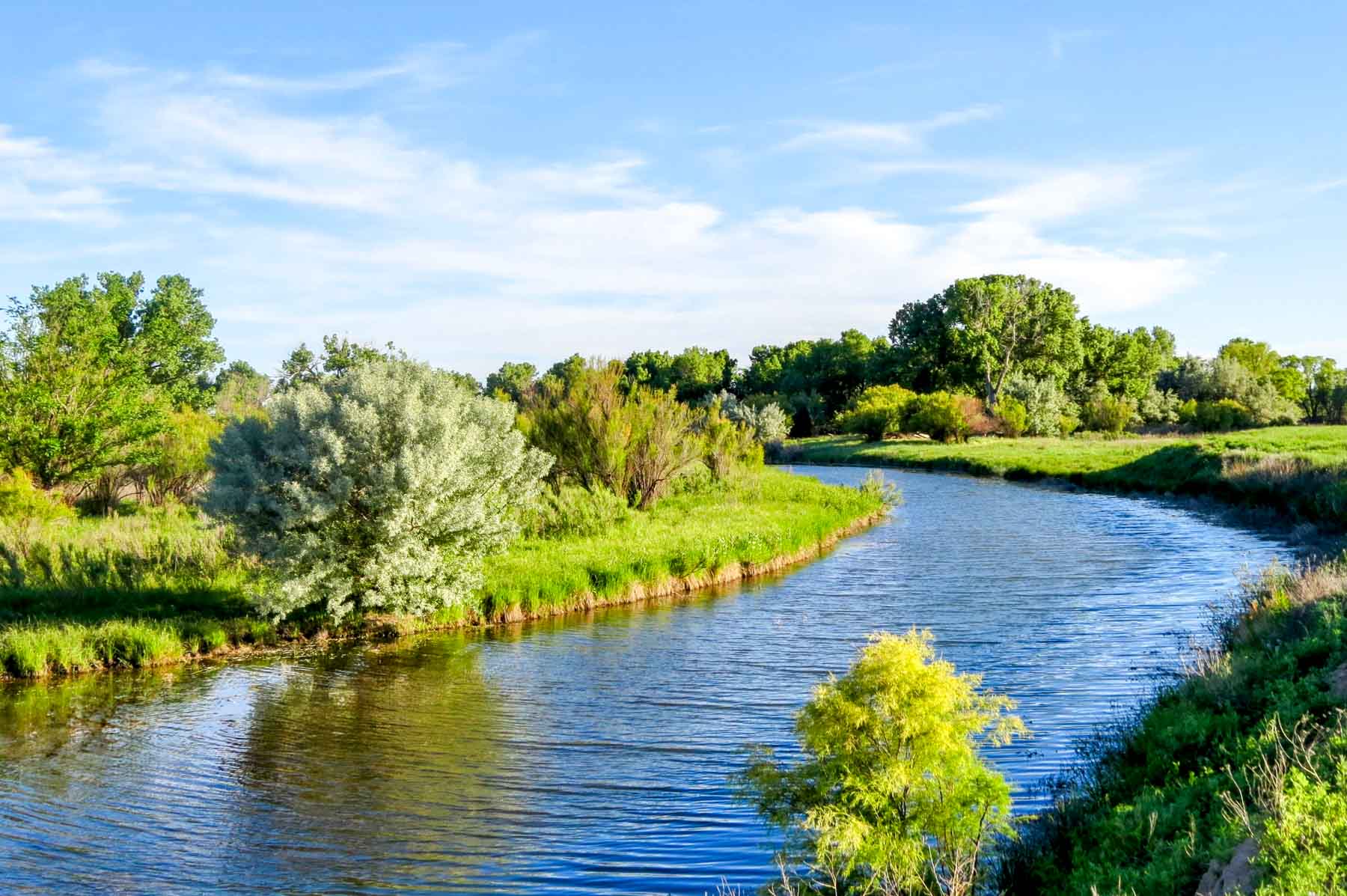 Freeman Family Ranches property picture 54 of 63