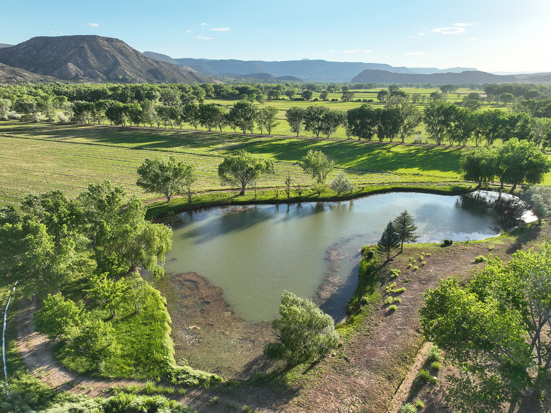 Abiquiu Valley Farm property picture 4 of 52