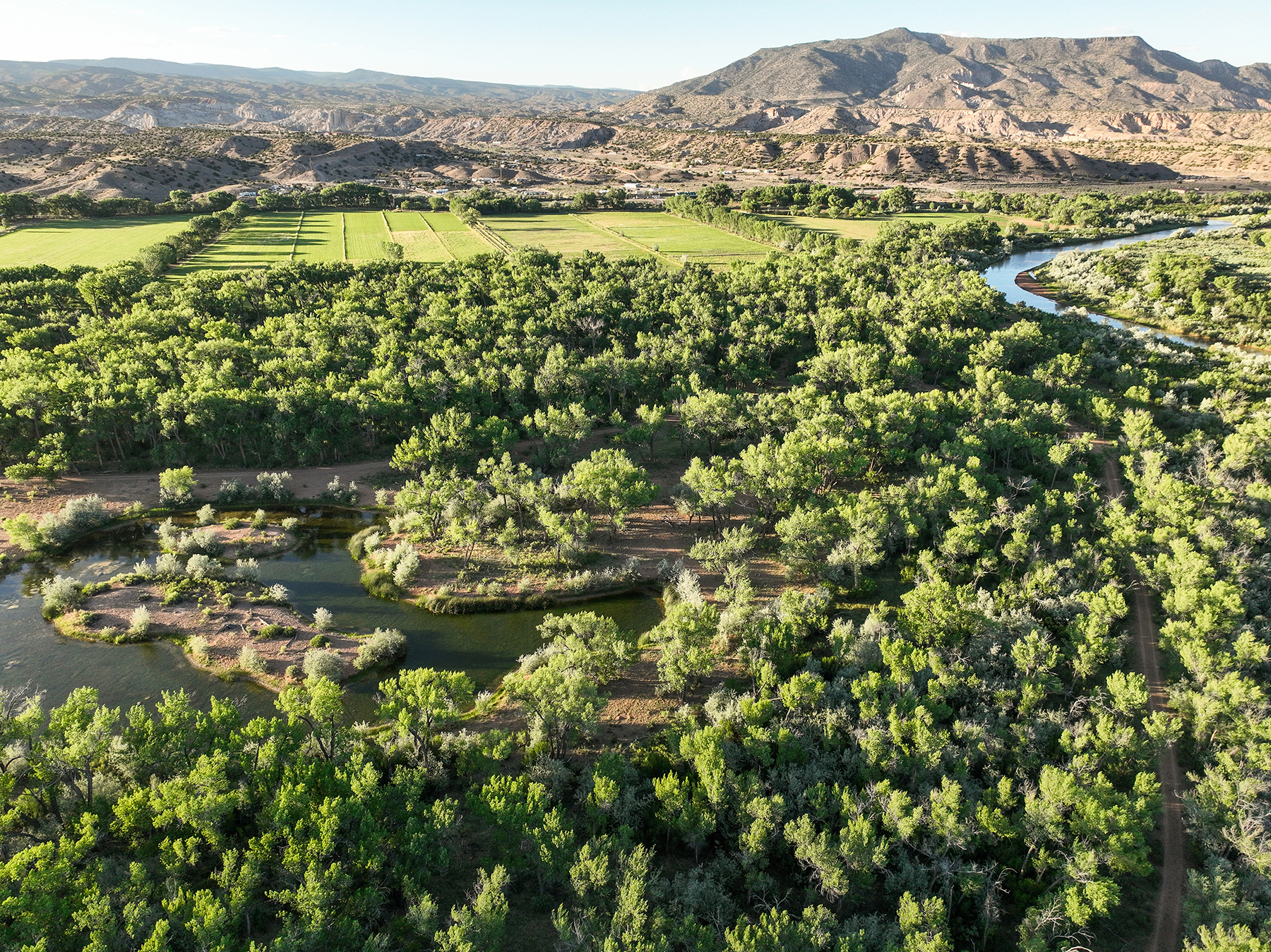 Abiquiu Valley Farm property picture 11 of 52