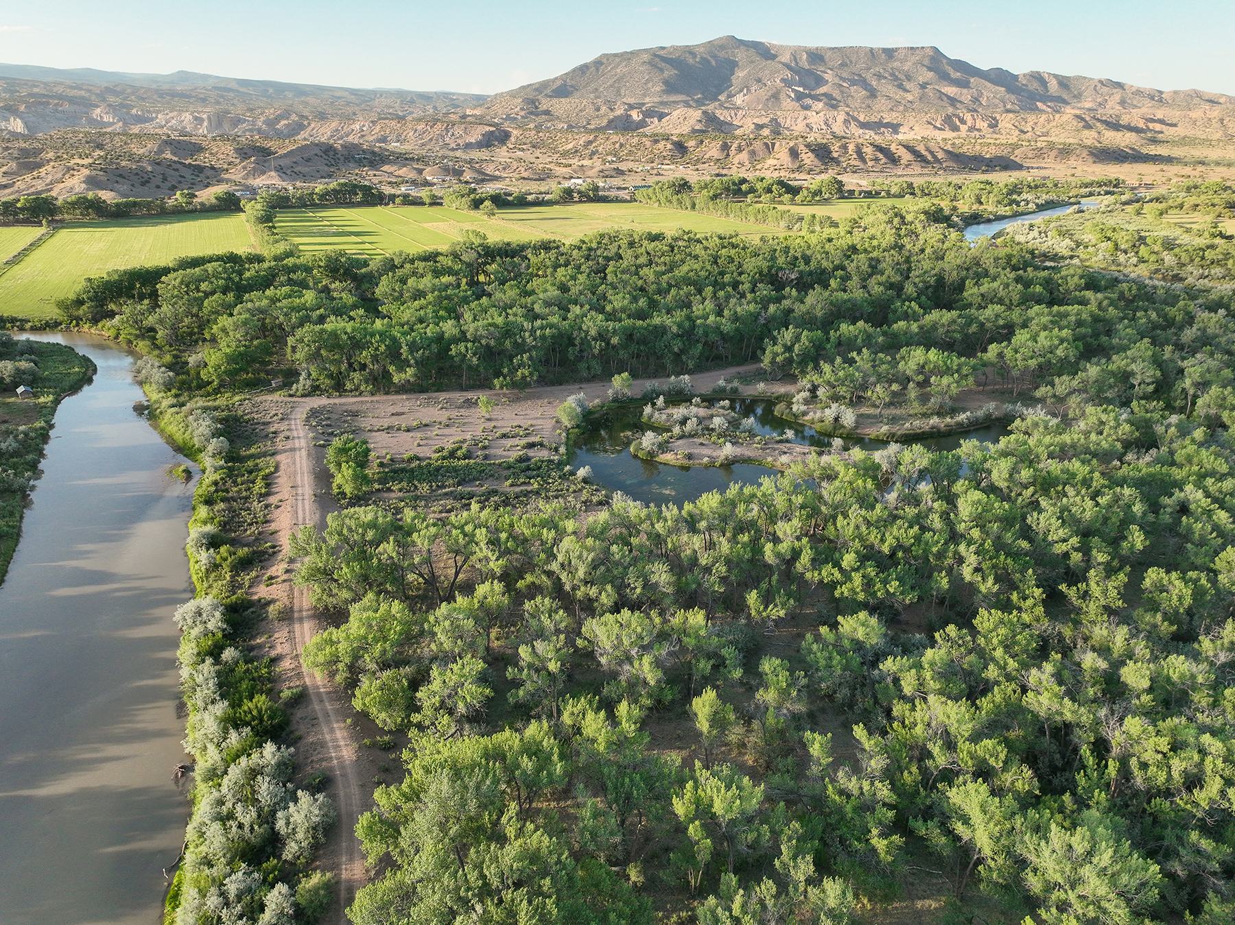 Abiquiu Valley Farm property picture 8 of 52