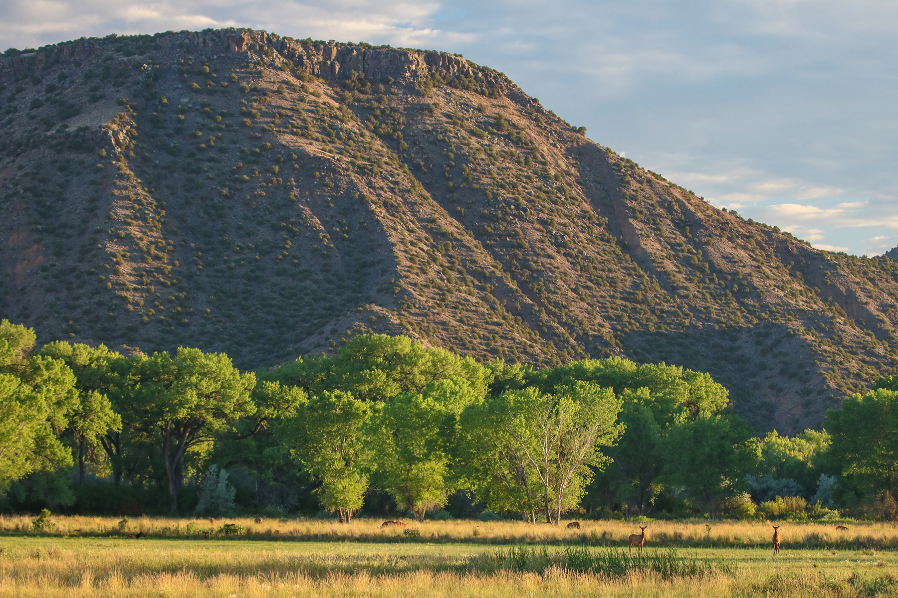 Abiquiu Valley Farm property picture 12 of 52